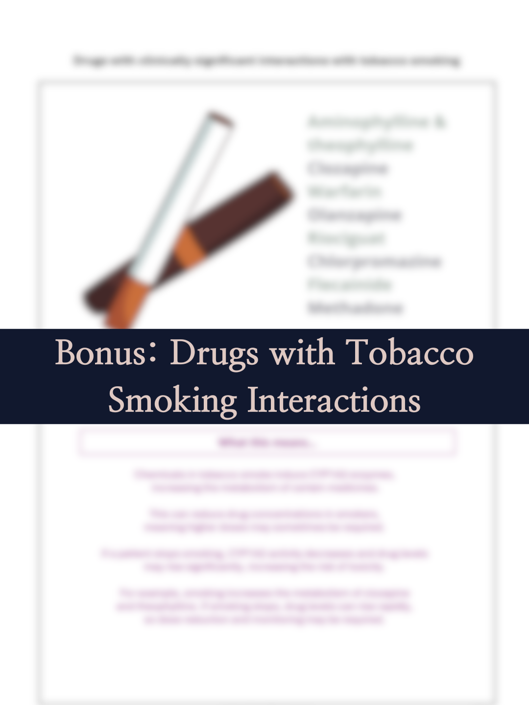 Aurévie Template - Y-Design-33.png