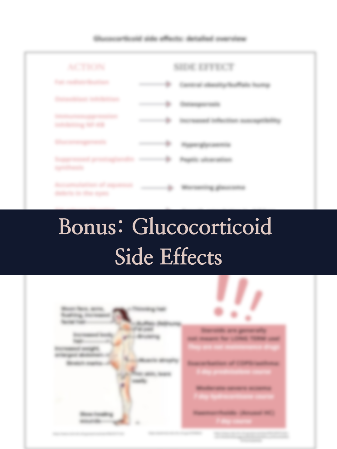 Aurévie Template - Y-Design-29.png