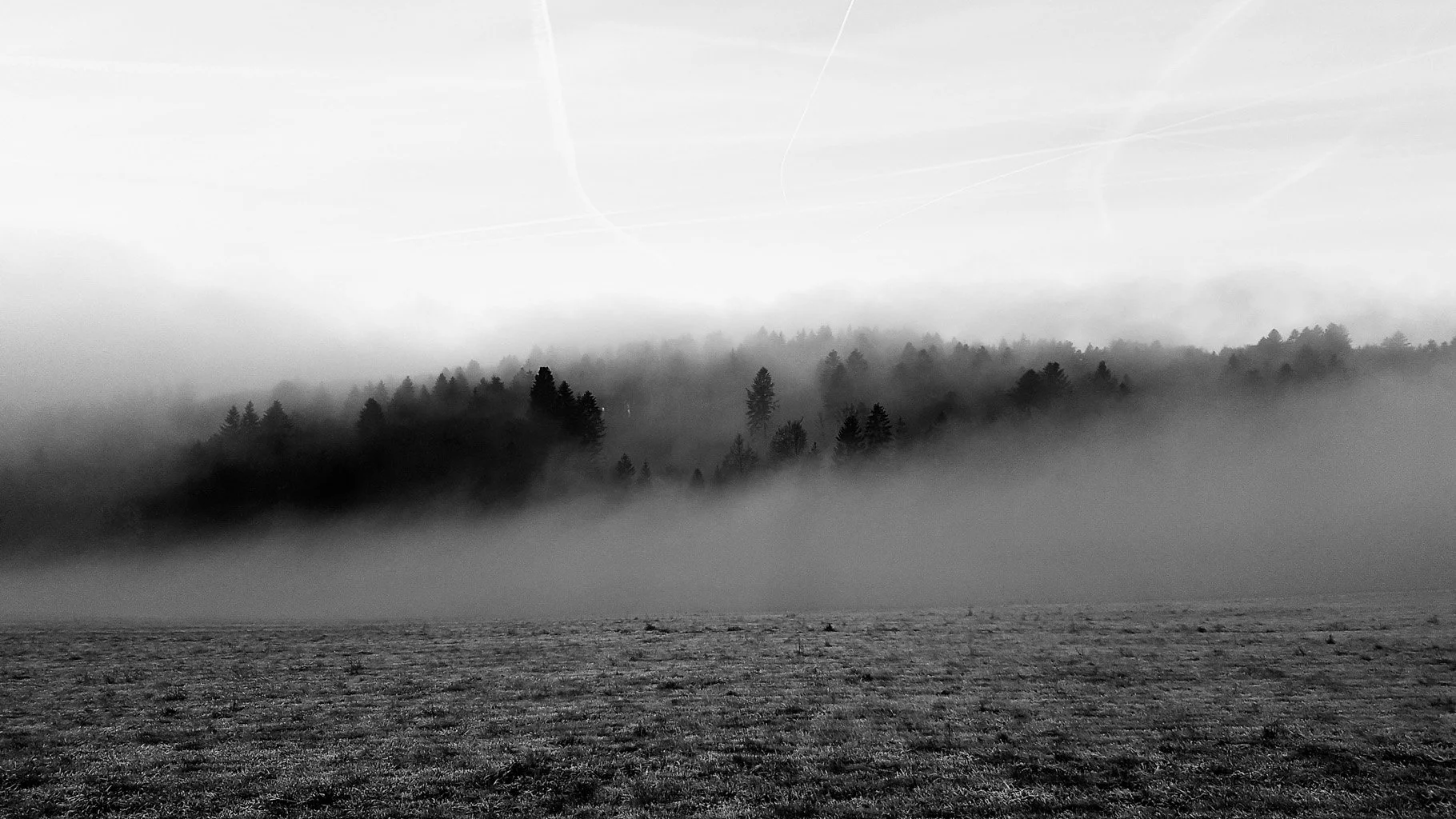 zen-im-november- mano-krach-01.JPG