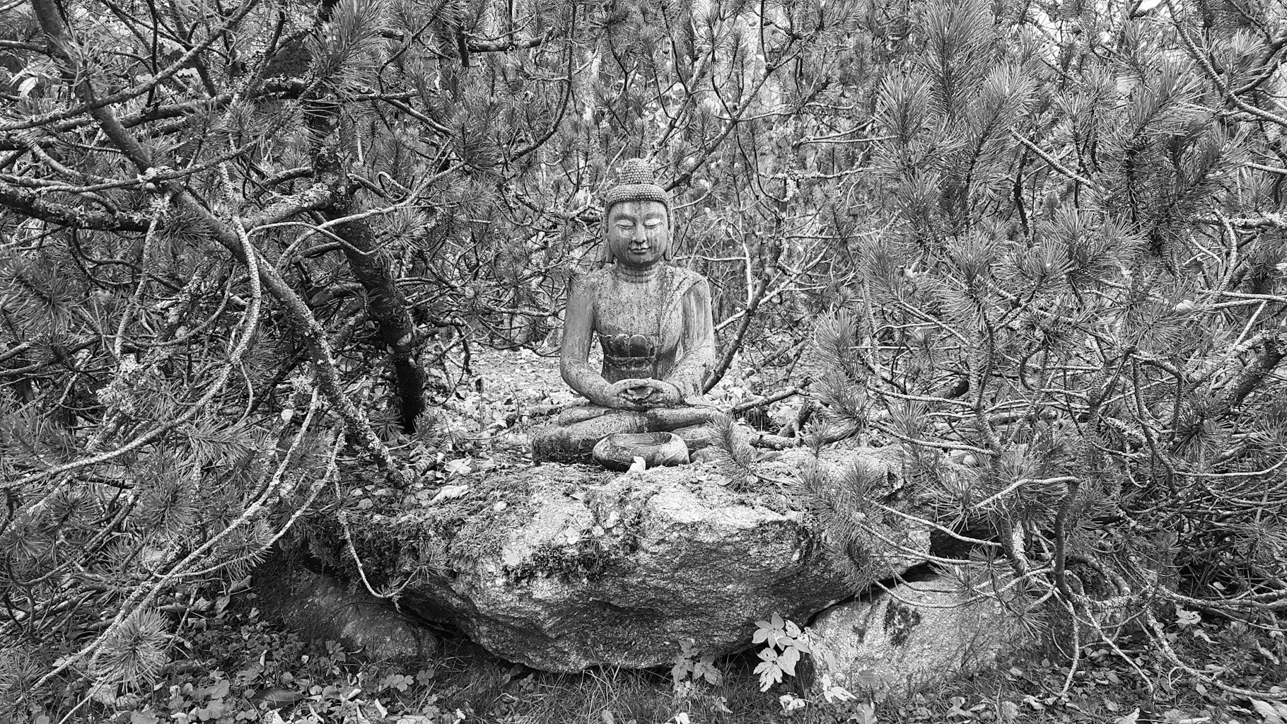 zen-im-november- mano-krach-03.JPG