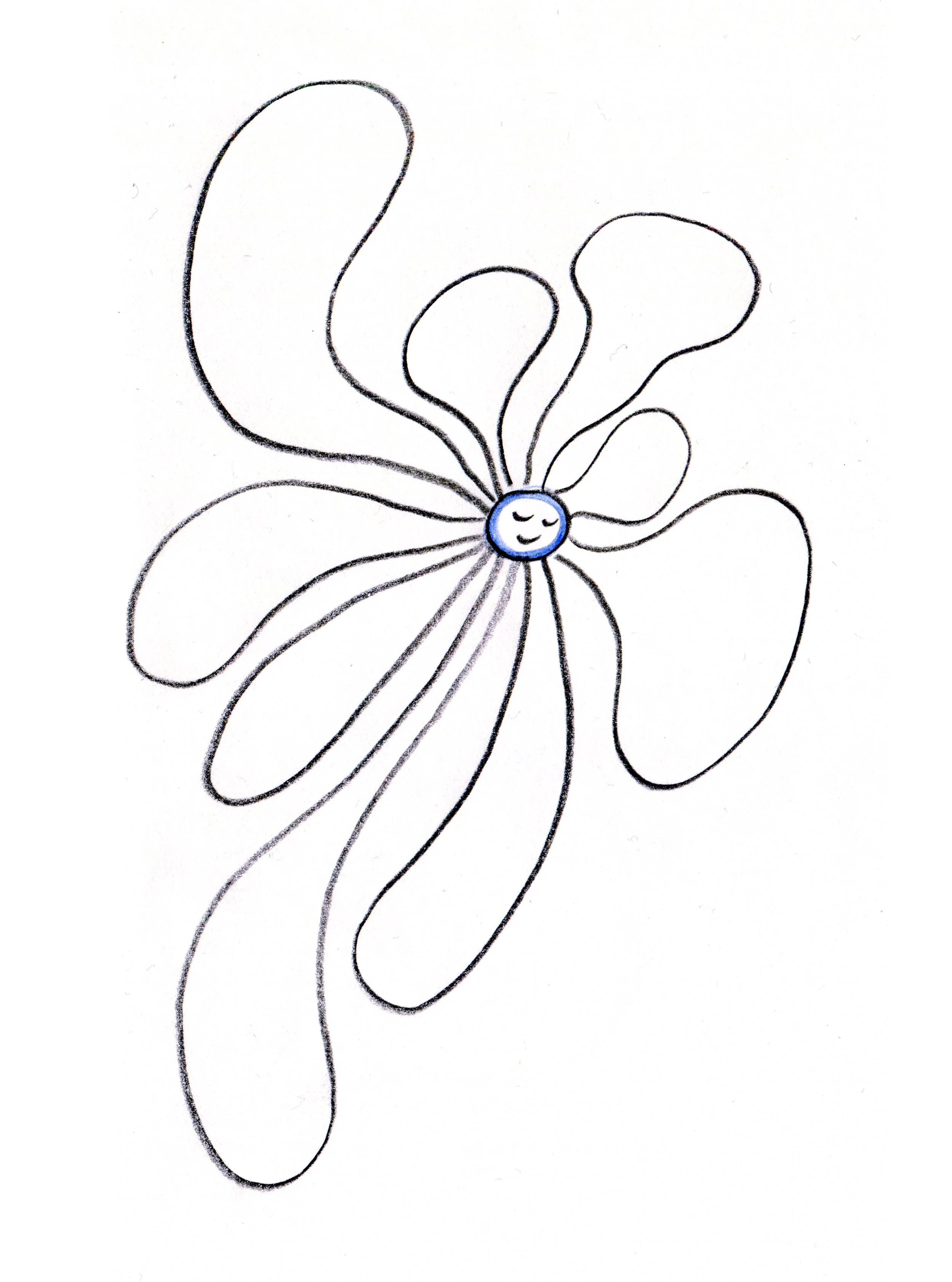 etwas über mein guesthouse 