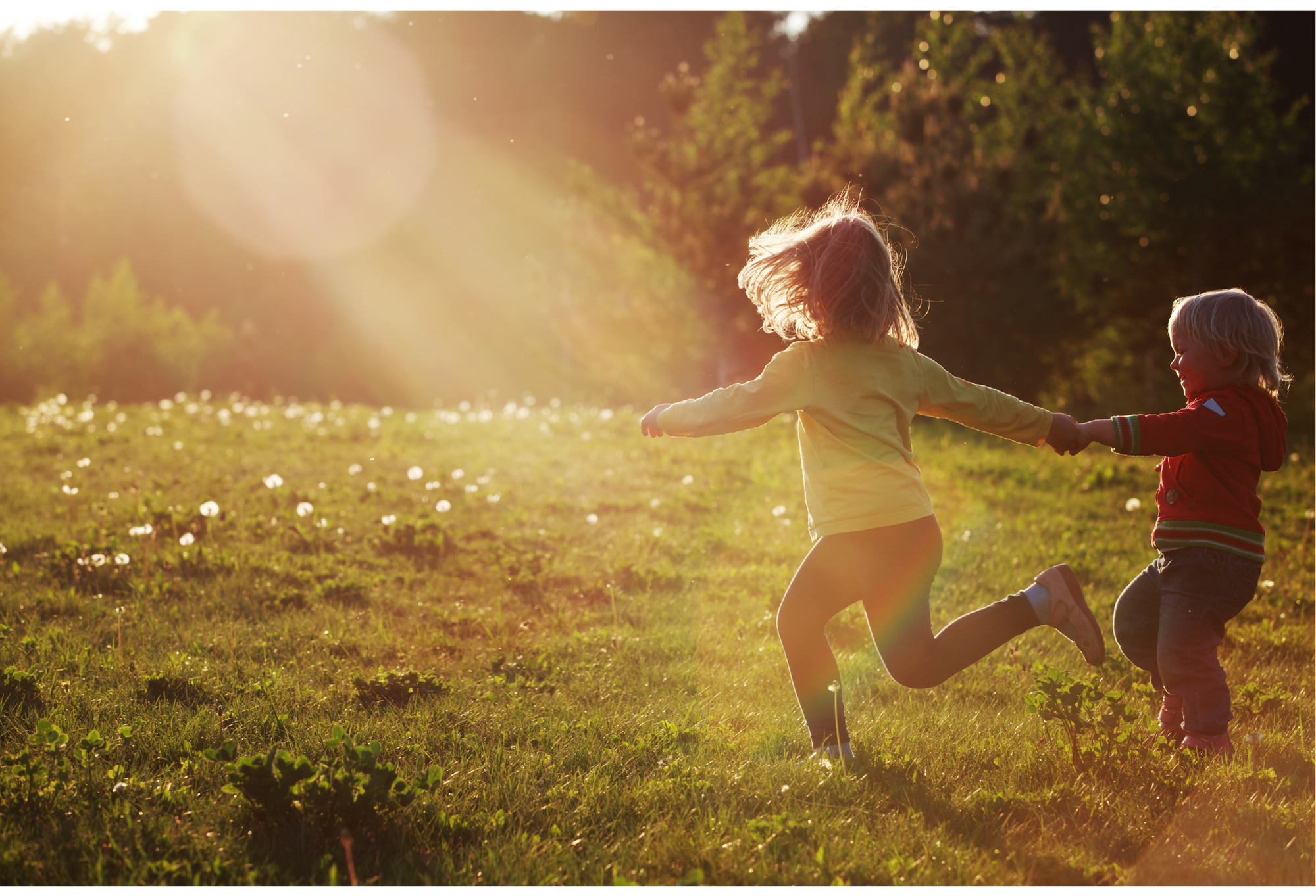 Is Abiding Wild Like Wild + Free? A Christ-Centered Take on Nature-Based Homeschooling