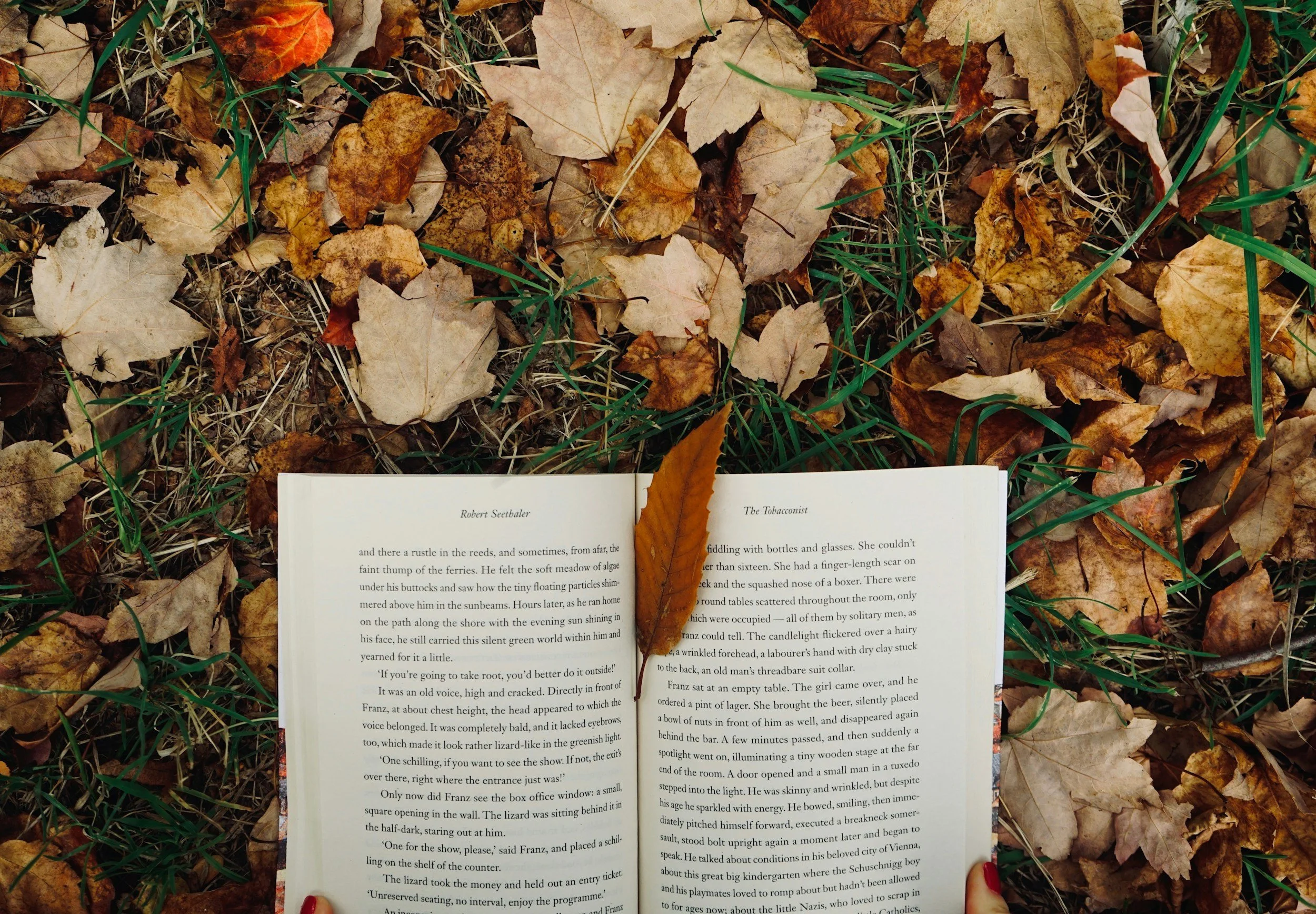 Embracing the Fall Transition: Rhythms of Learning and Wonder