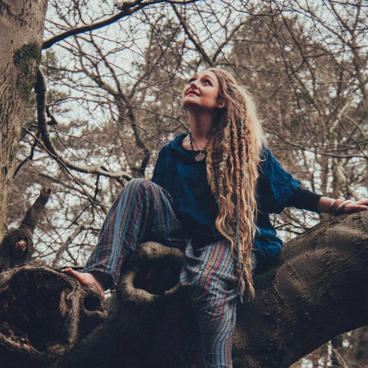 A photograph of Holly sitting on a large moss covered tree branch, gaze lifted to the sky