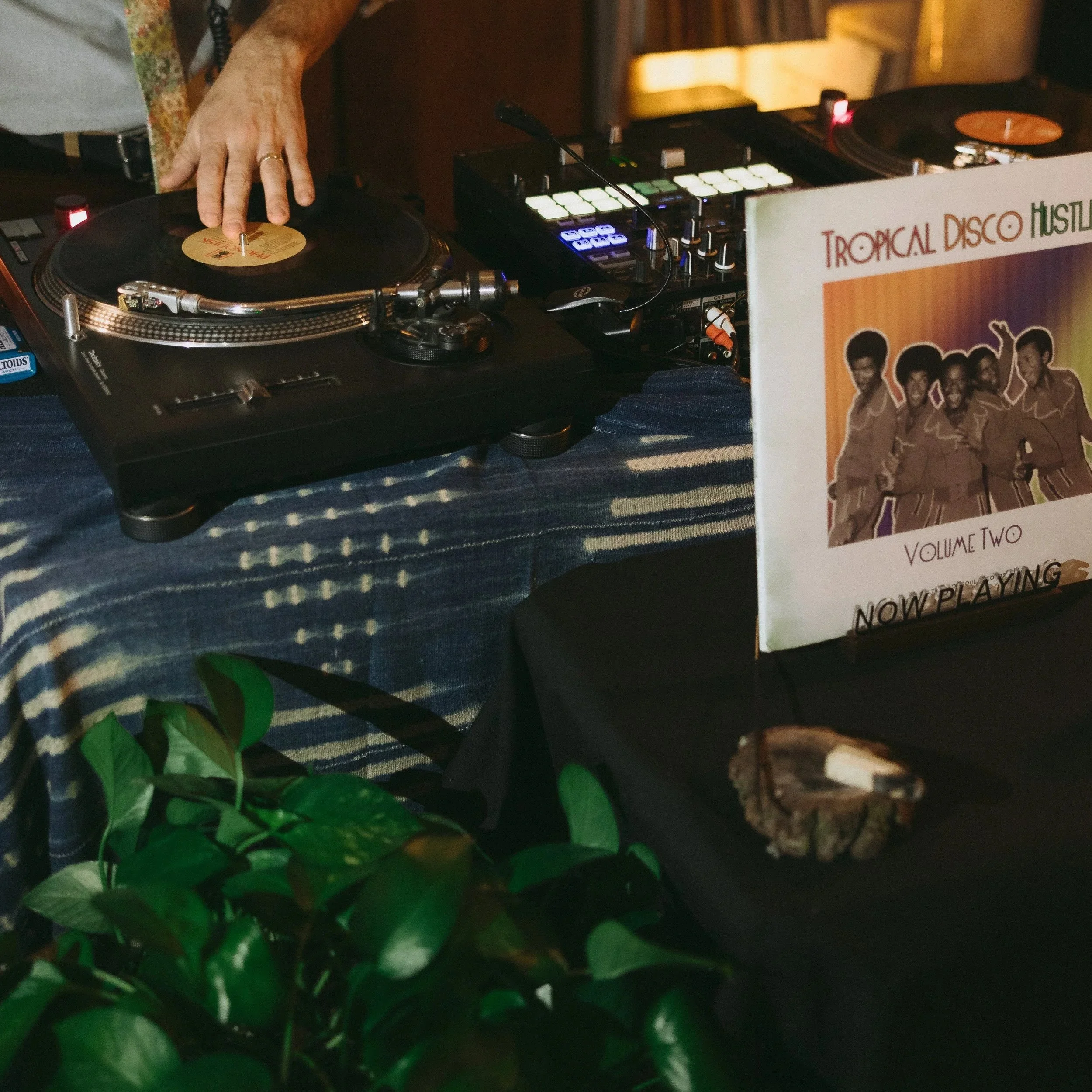 Retro plant wedding