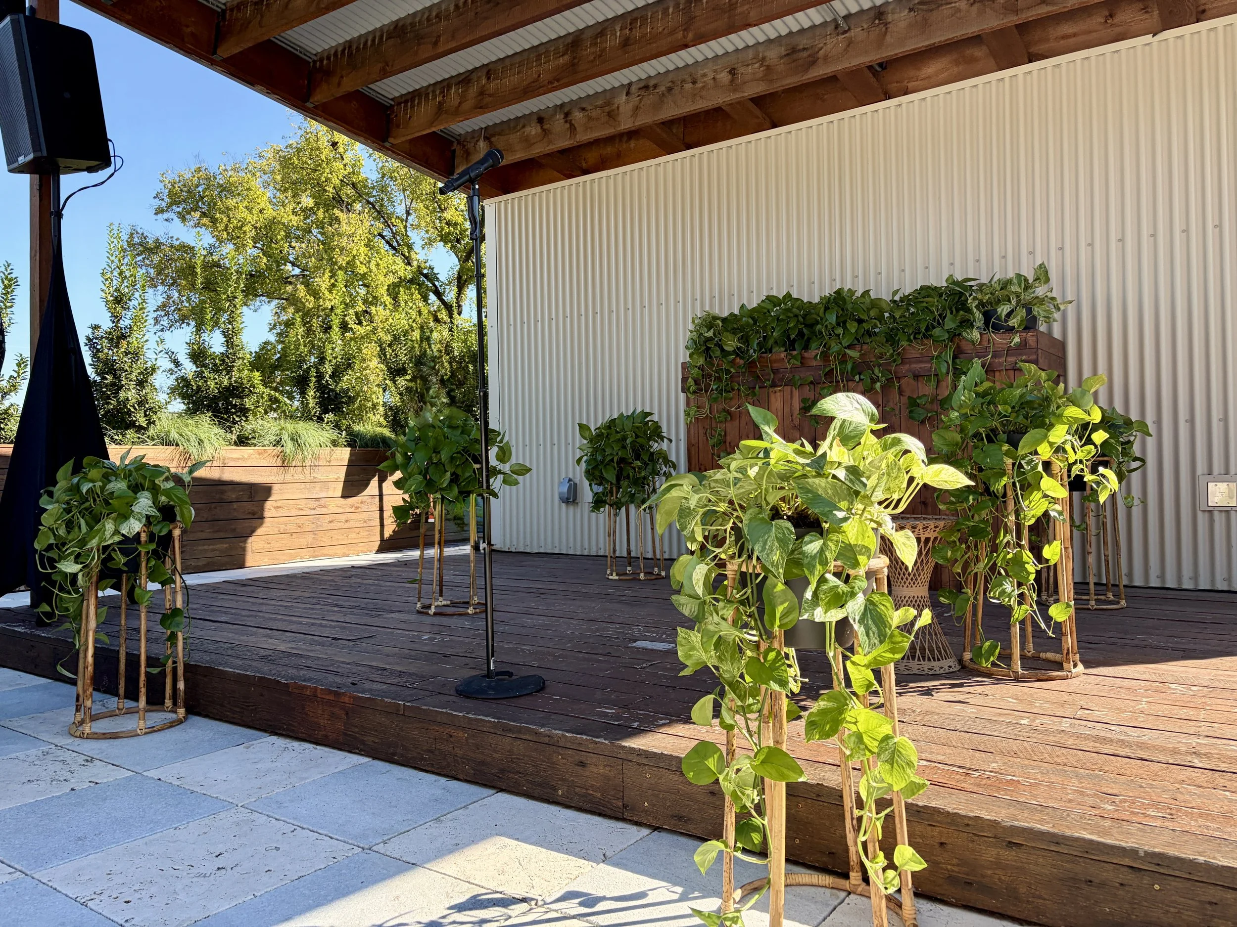 Pothos on Stands.jpg
