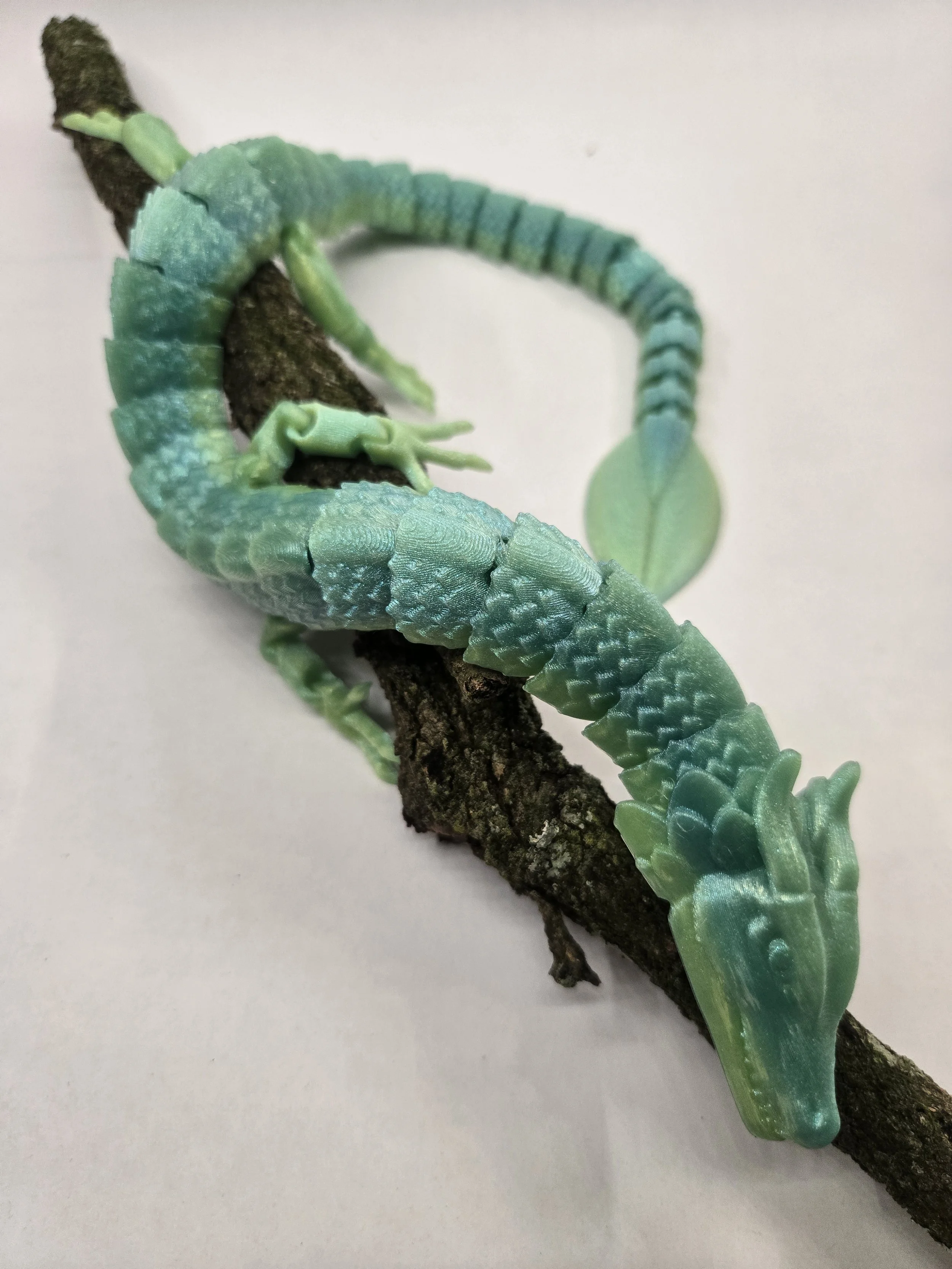 Forrest Dragon