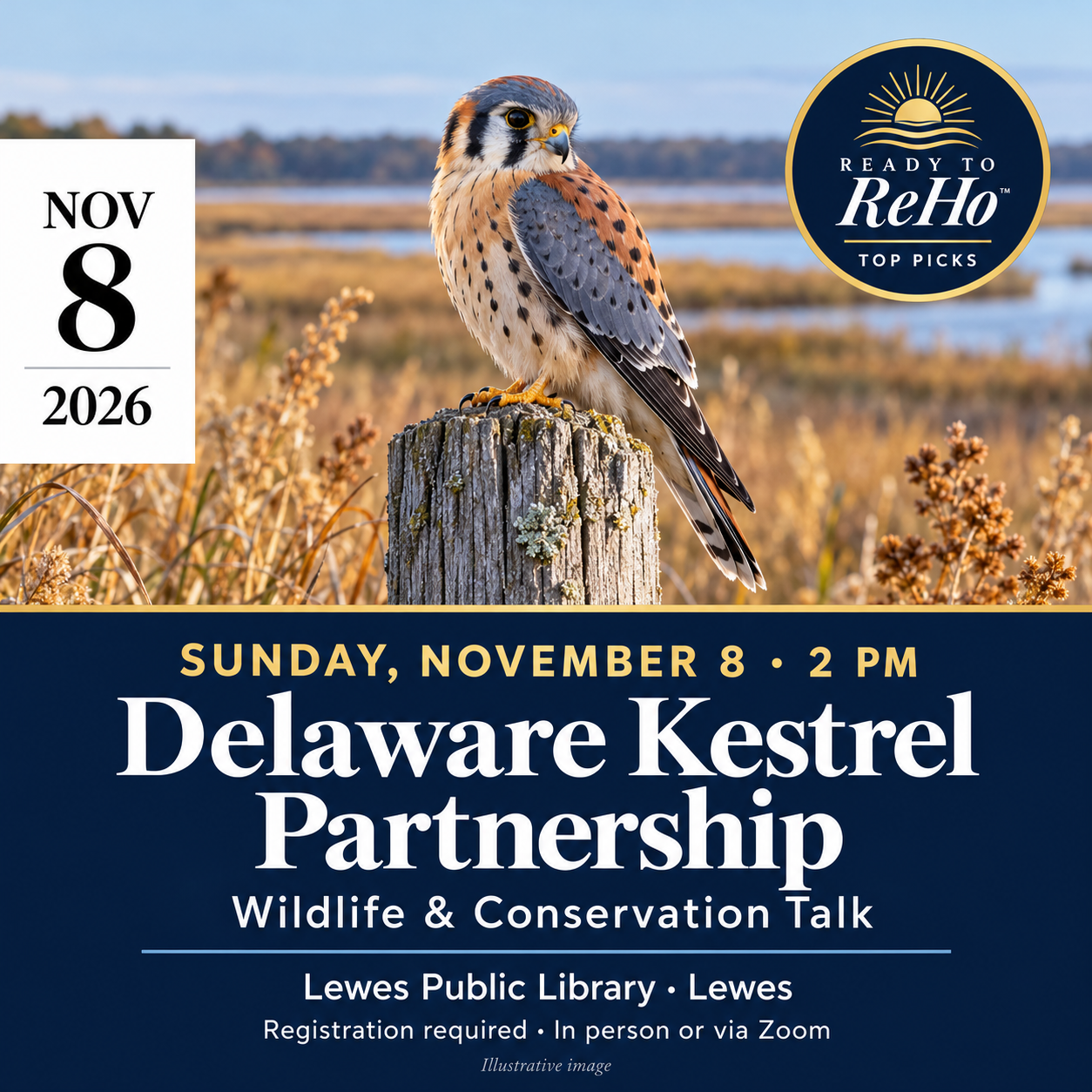 Delaware Kestrel Partnership