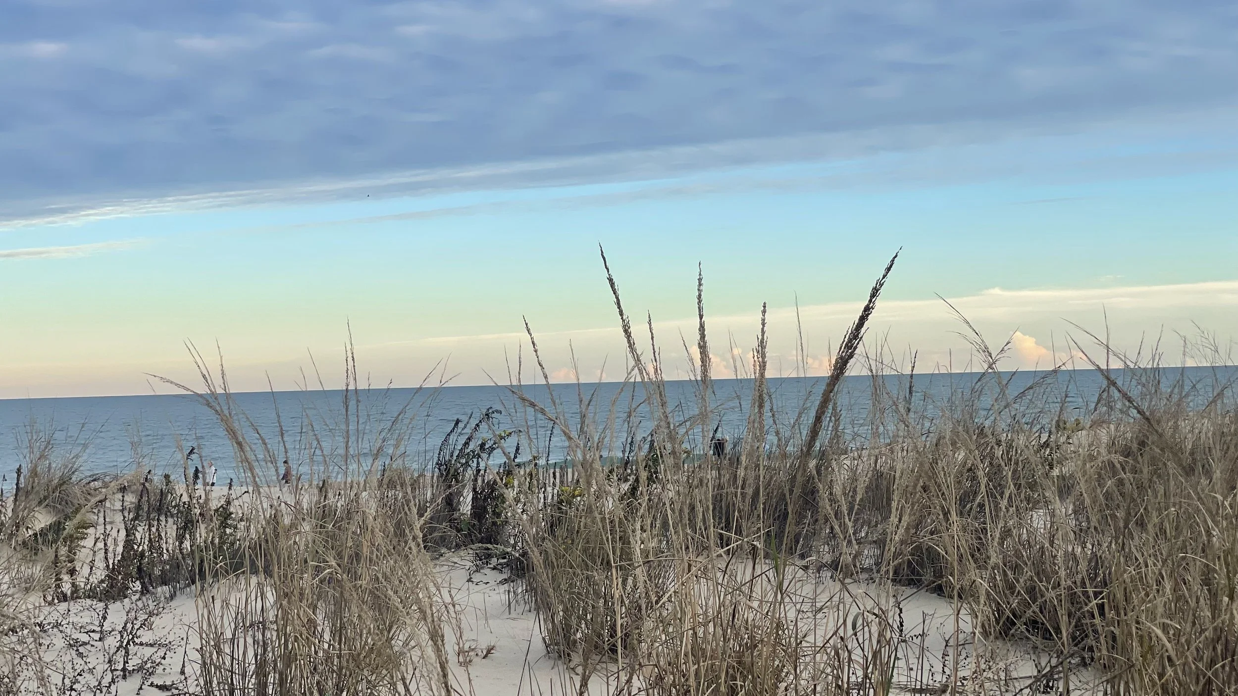 View of a beach with tall beach grass in the foreground, the ocean in the middle ground, and a cloudy sky in the background.