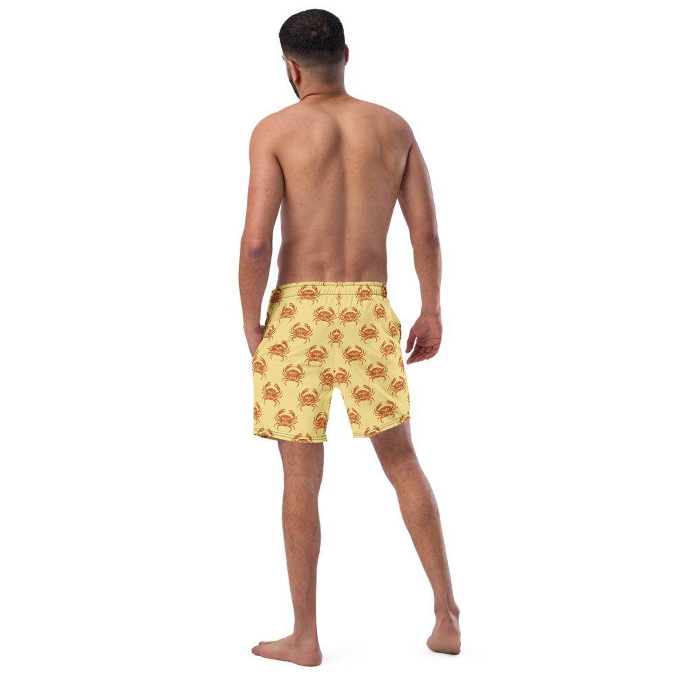 all-over-print-recycled-swim-trunks-white-back-6a3c06542d815.png