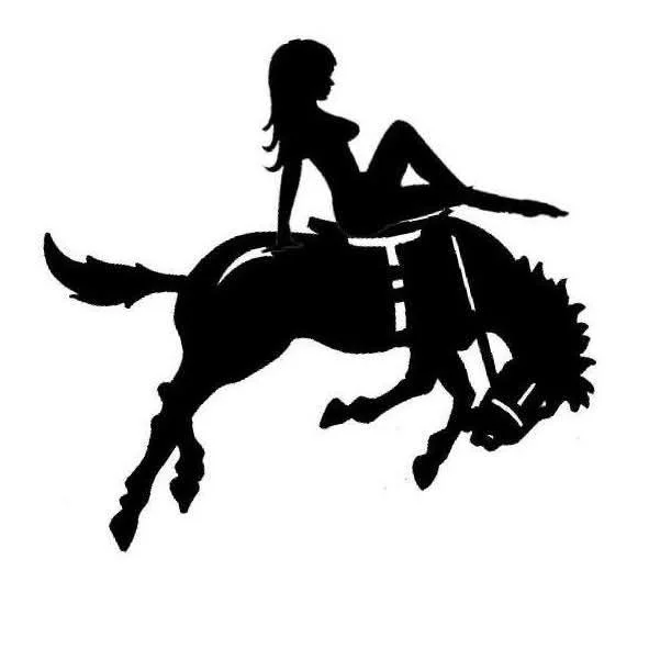 One Trick Pony