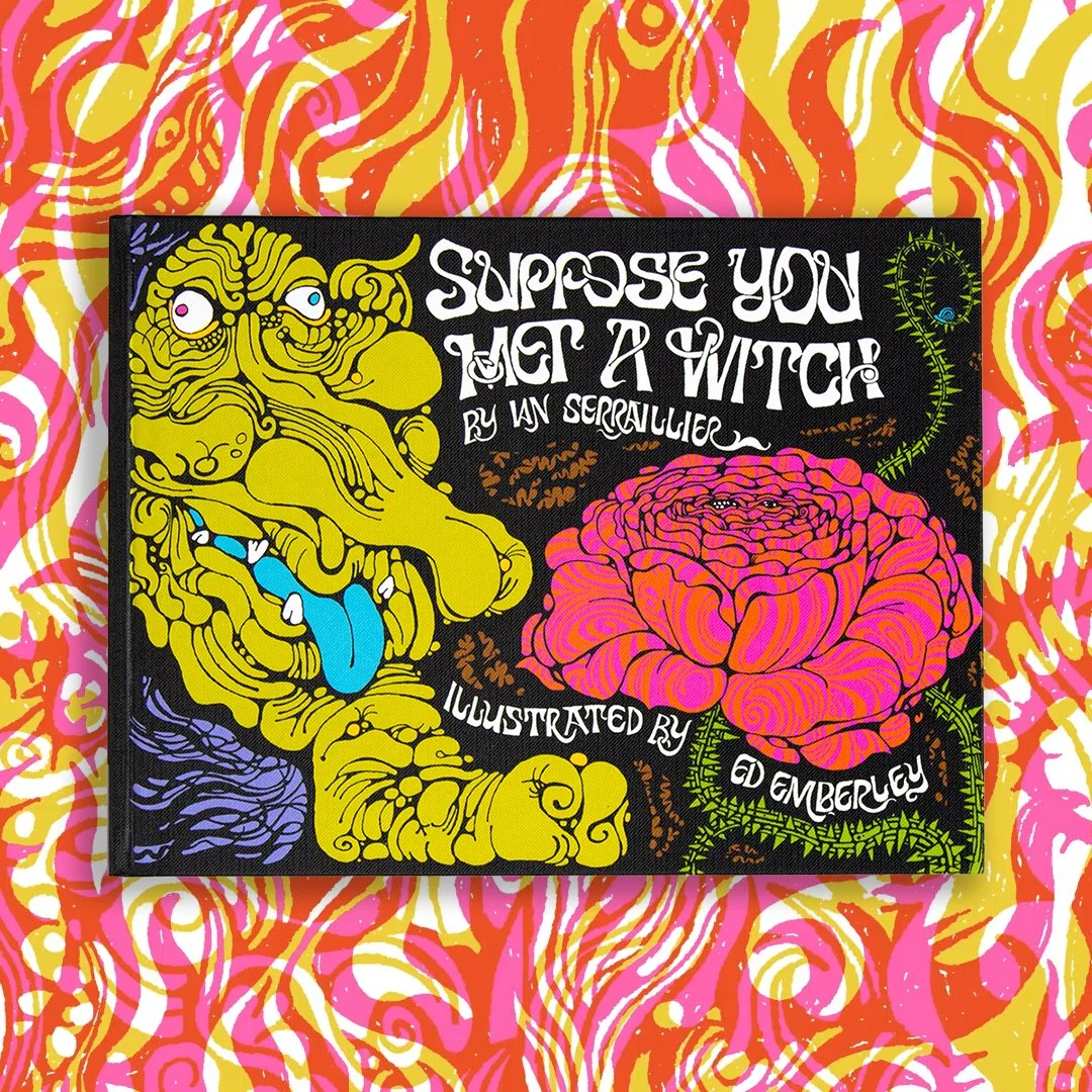 Suppose You Met A Witch