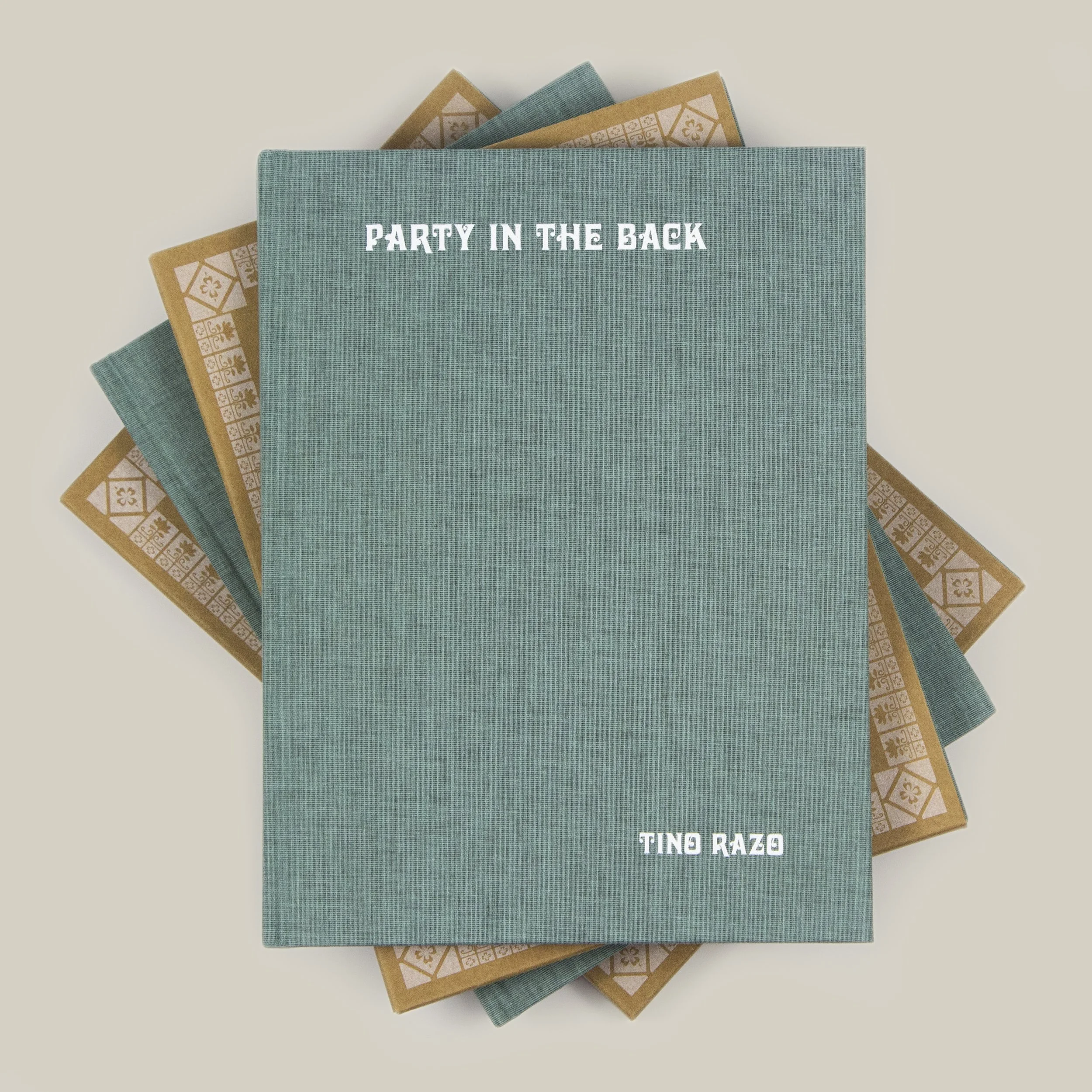 Party In The Back