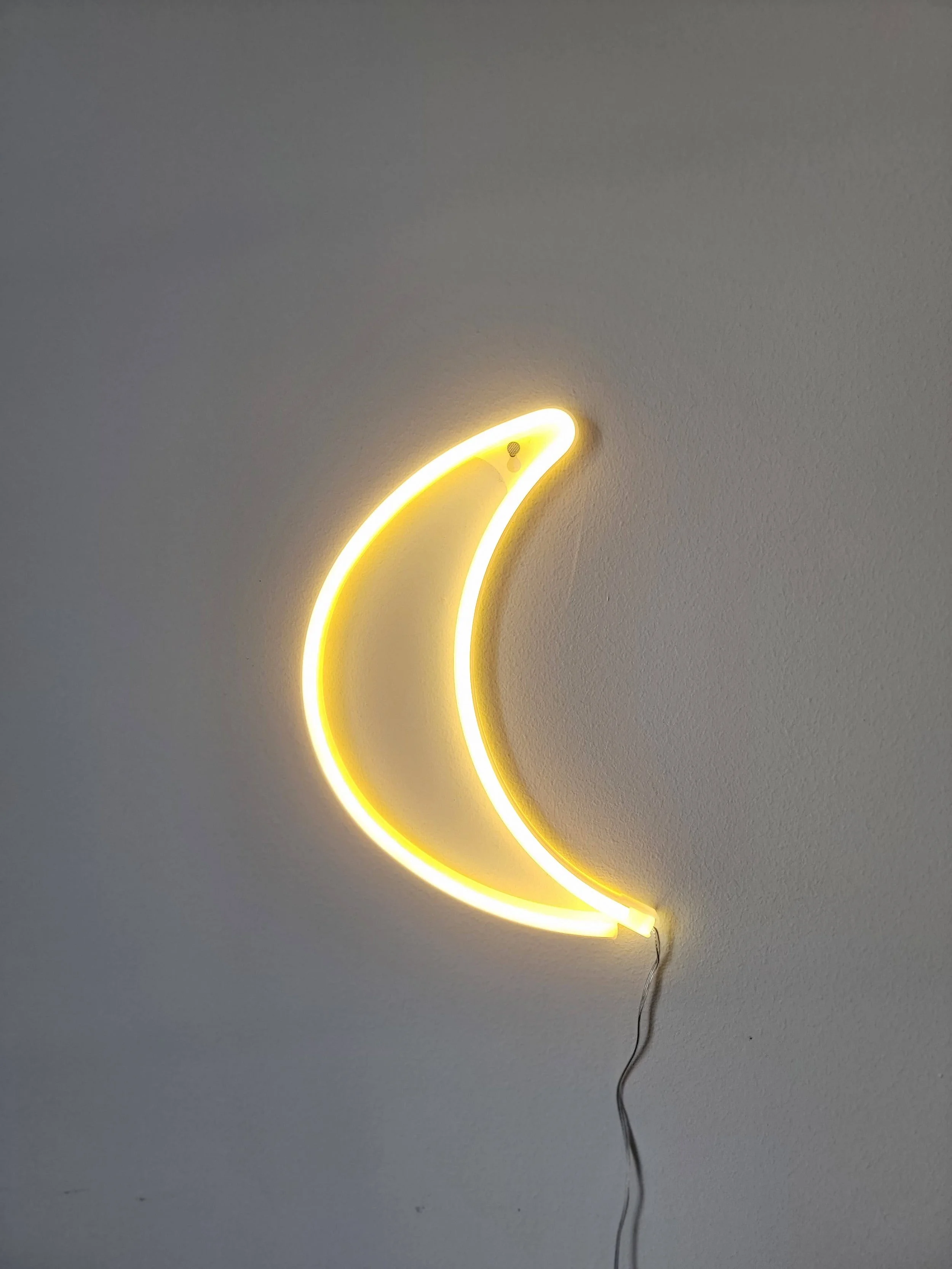Crescent Moon Neon Sign