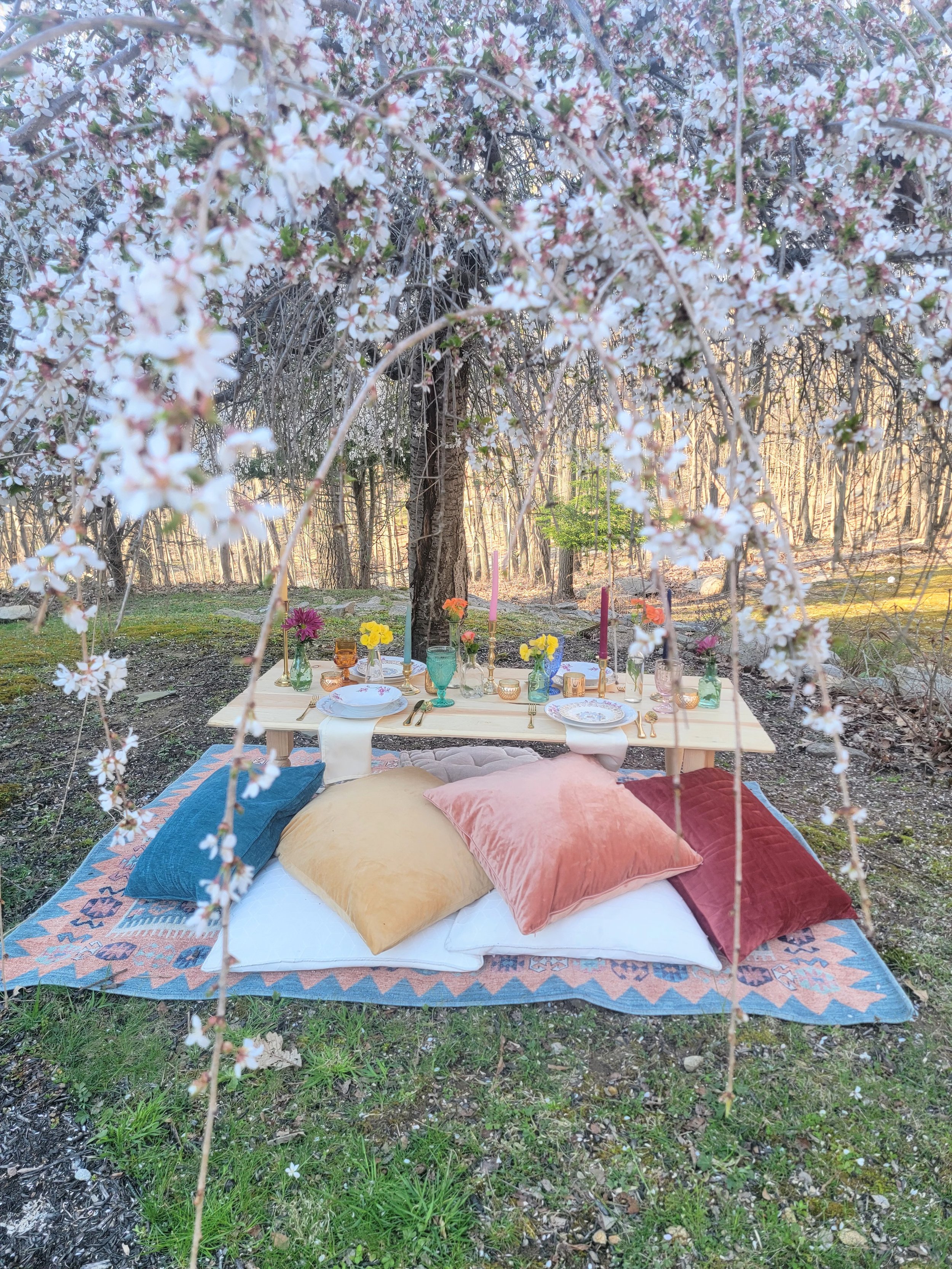Picnic.jpg