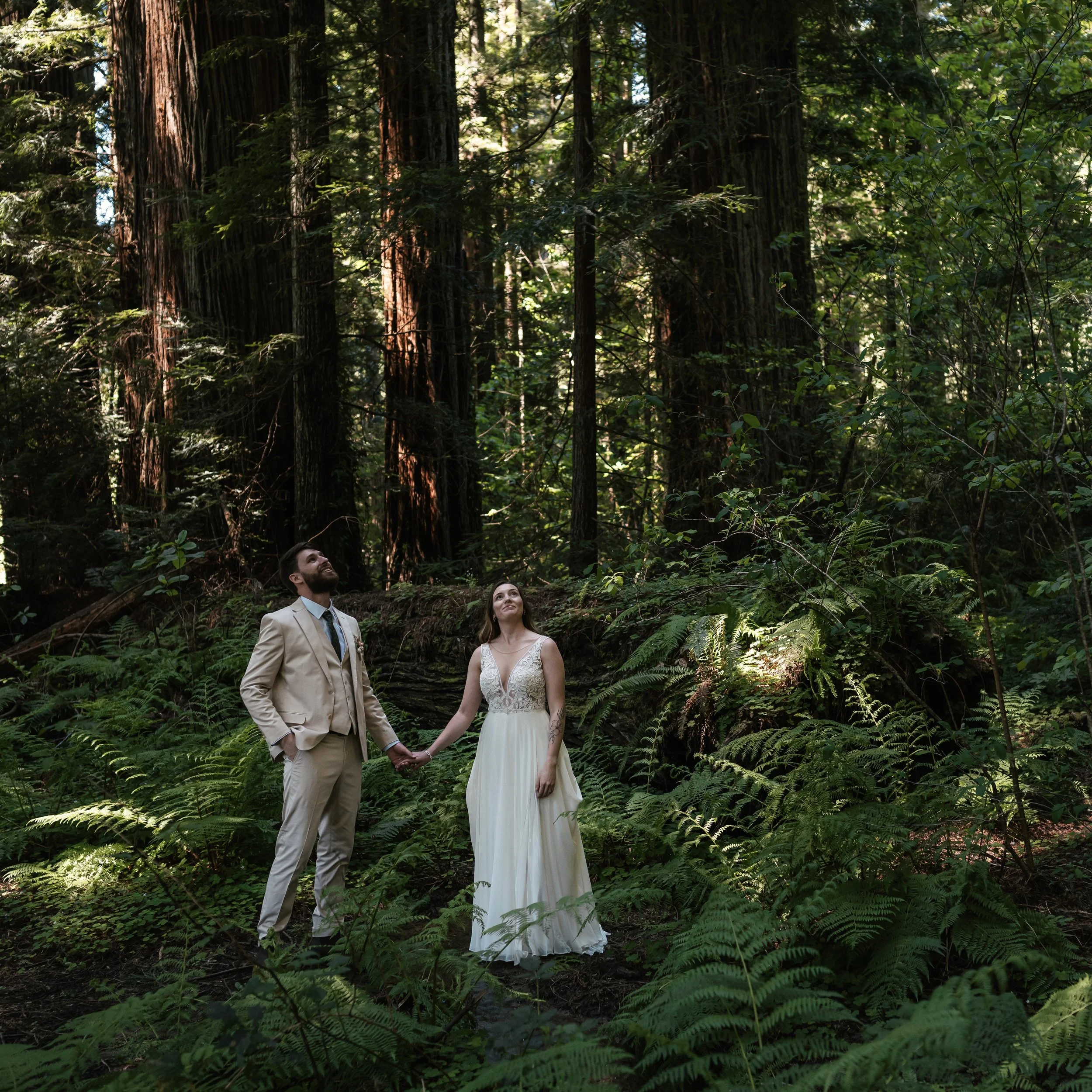 Dreams Spoken Among the Trees