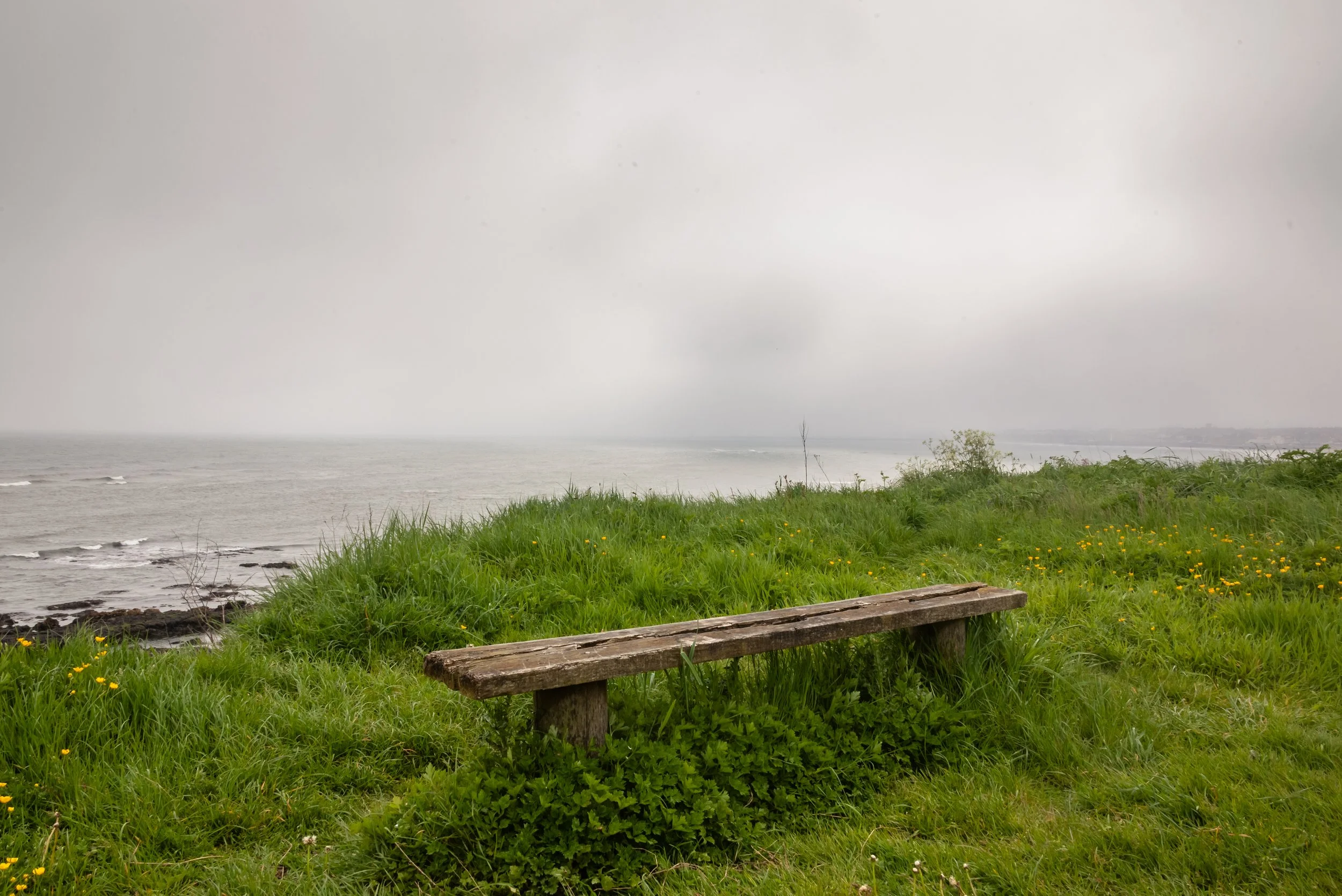 A wooden bench on green grass near the ocean with overcast sky, and a distant shoreline.