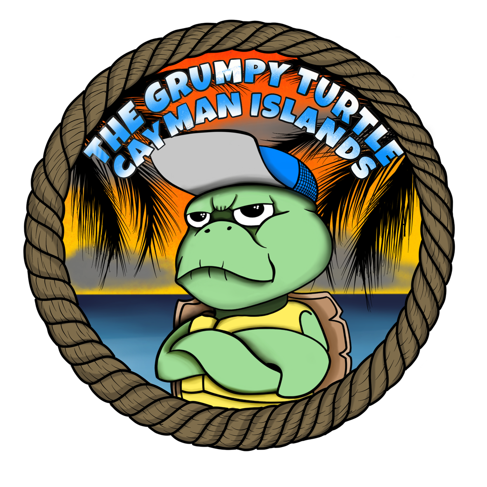 The Grumpy Turtle