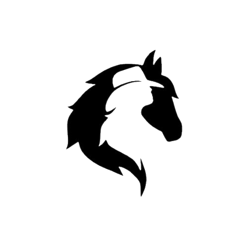 Horse Themed Decals