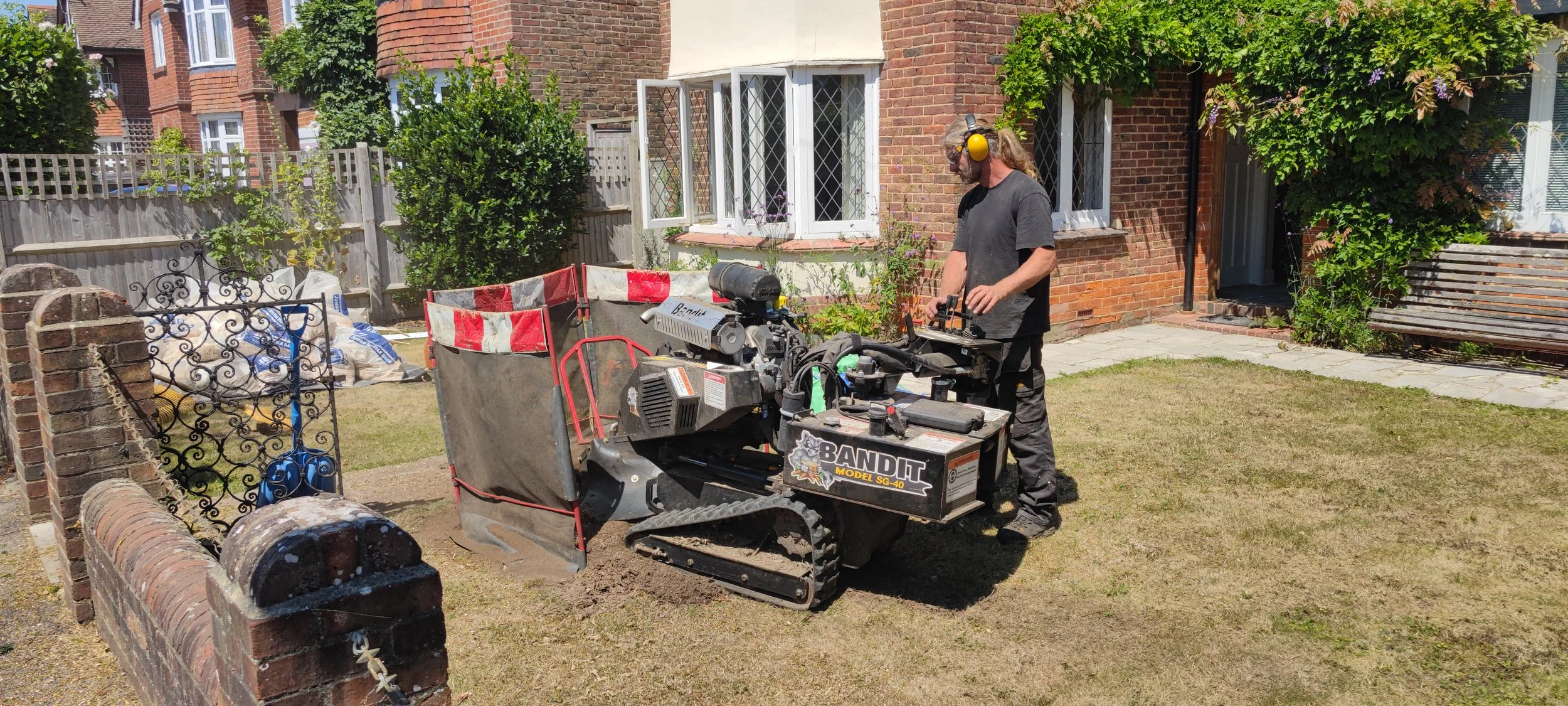 Tree surgery in Laburnum Grove, Chichester, PO19 7DL