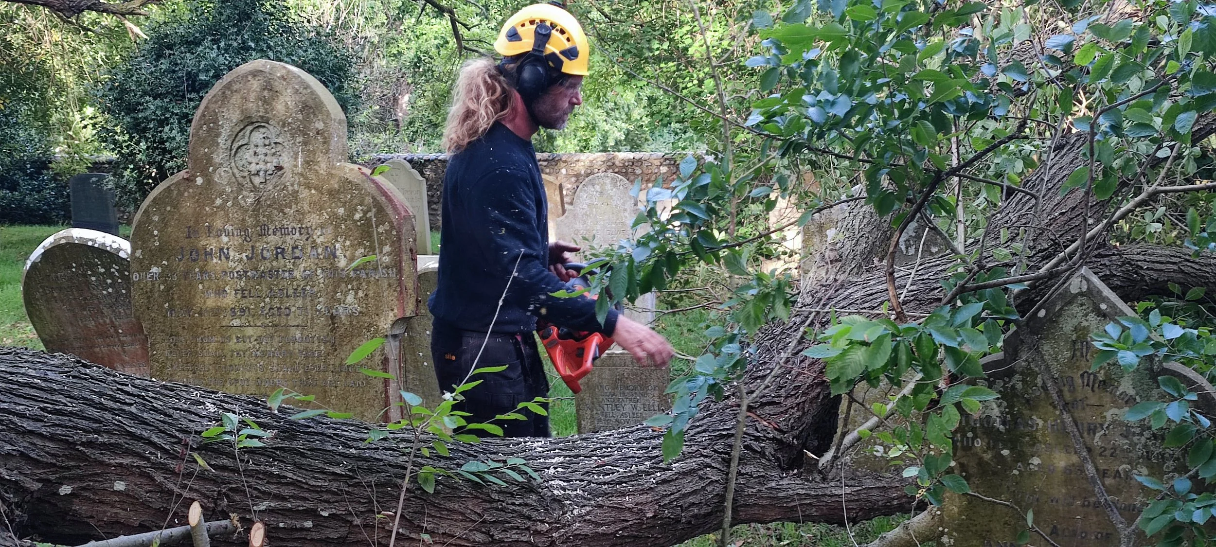 Chichester Tree Solutions - Tree surgery in a local churchyard (37).jpg