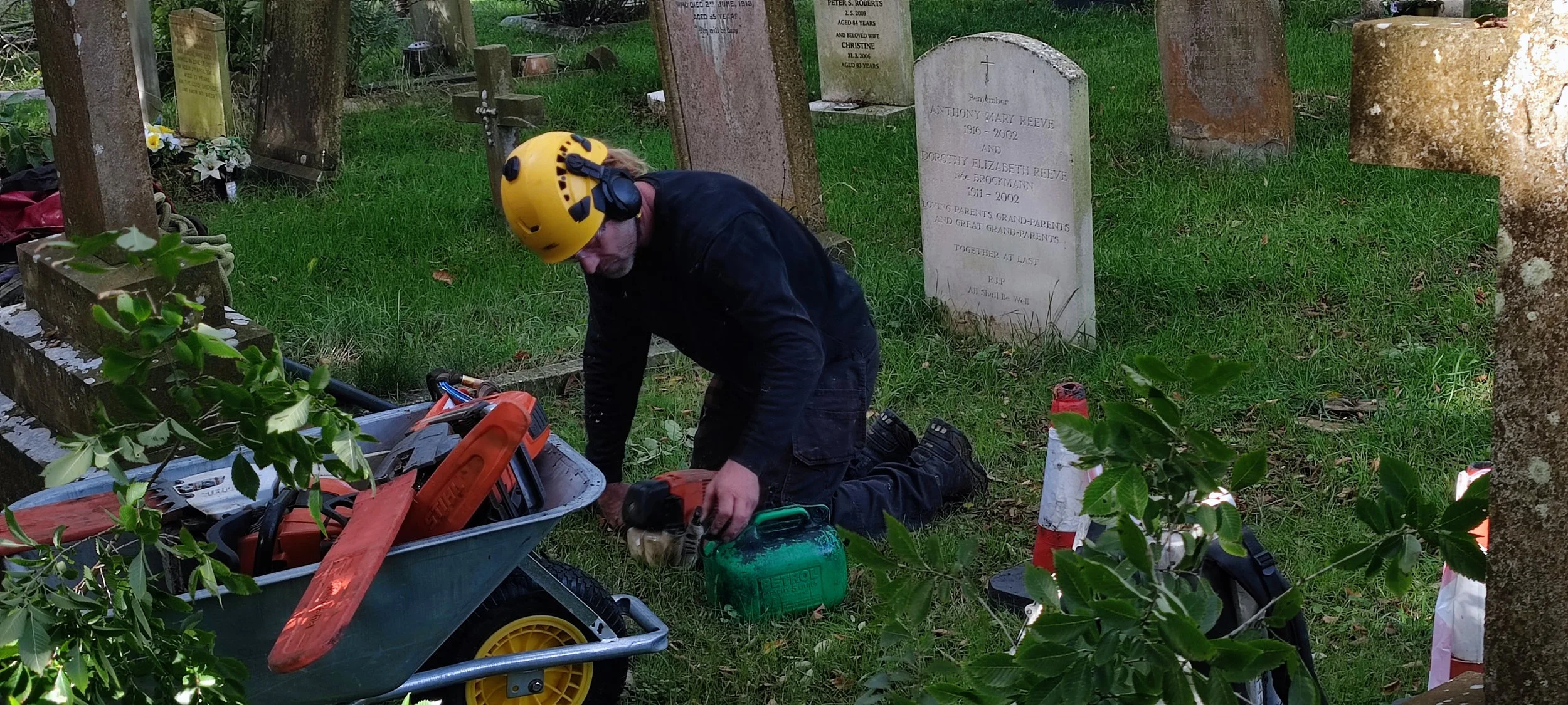 Chichester Tree Solutions - Tree surgery in a local churchyard (80).jpg