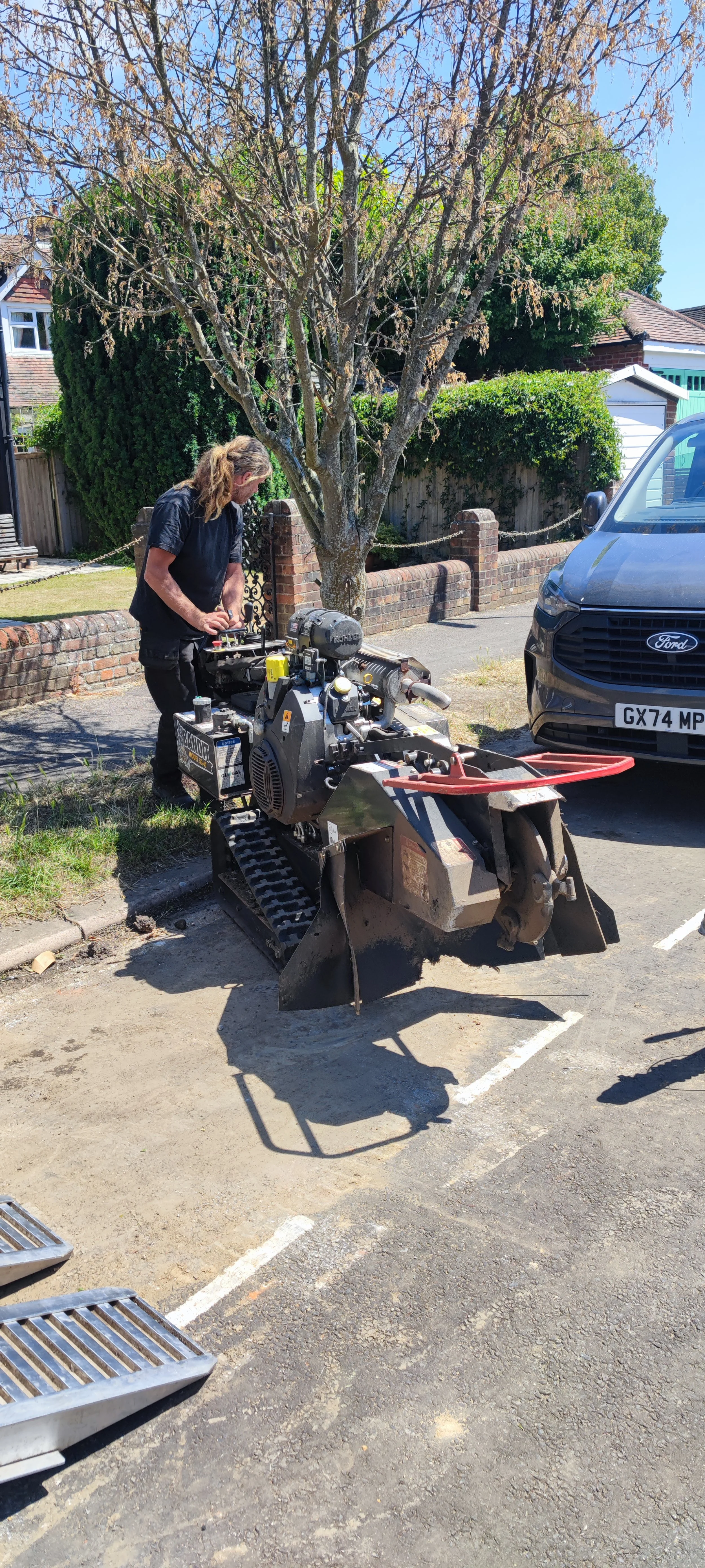 Chichester Tree Solutions - Yew Tree removal and stump grinding in Chichester West Sussex (34).jpg