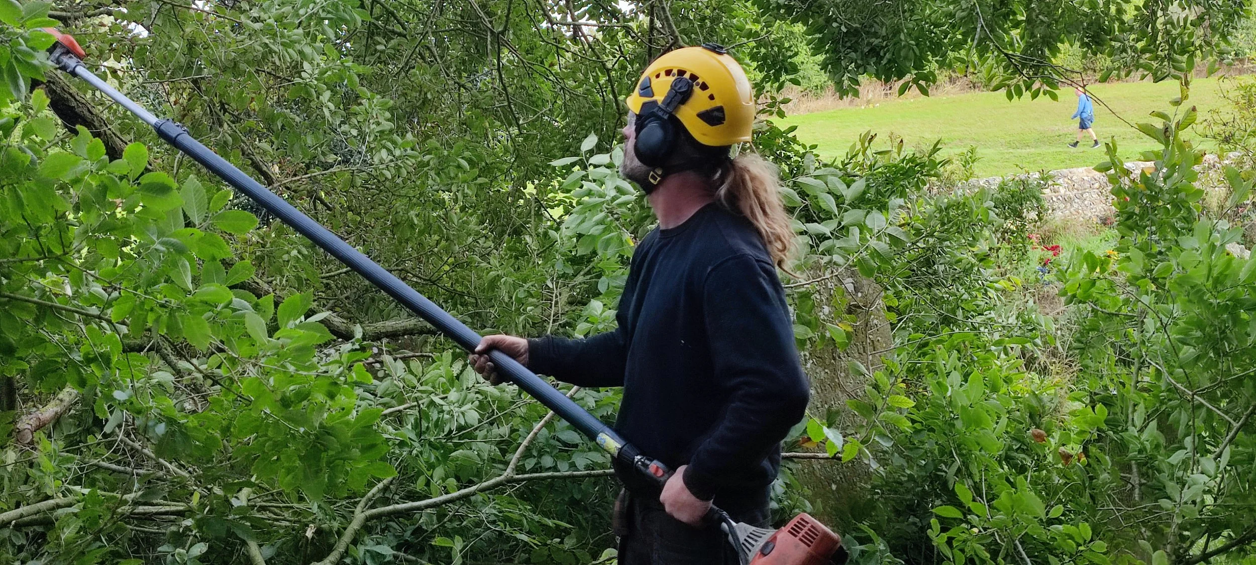 Chichester Tree Solutions - Tree surgery in a local churchyard (120).jpg