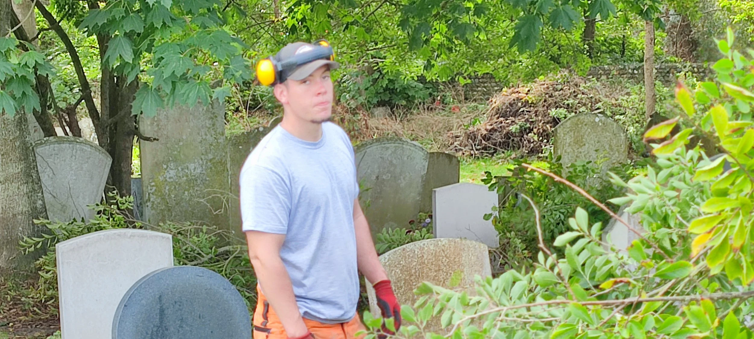 Chichester Tree Solutions - Tree surgery in a local churchyard (206).jpg