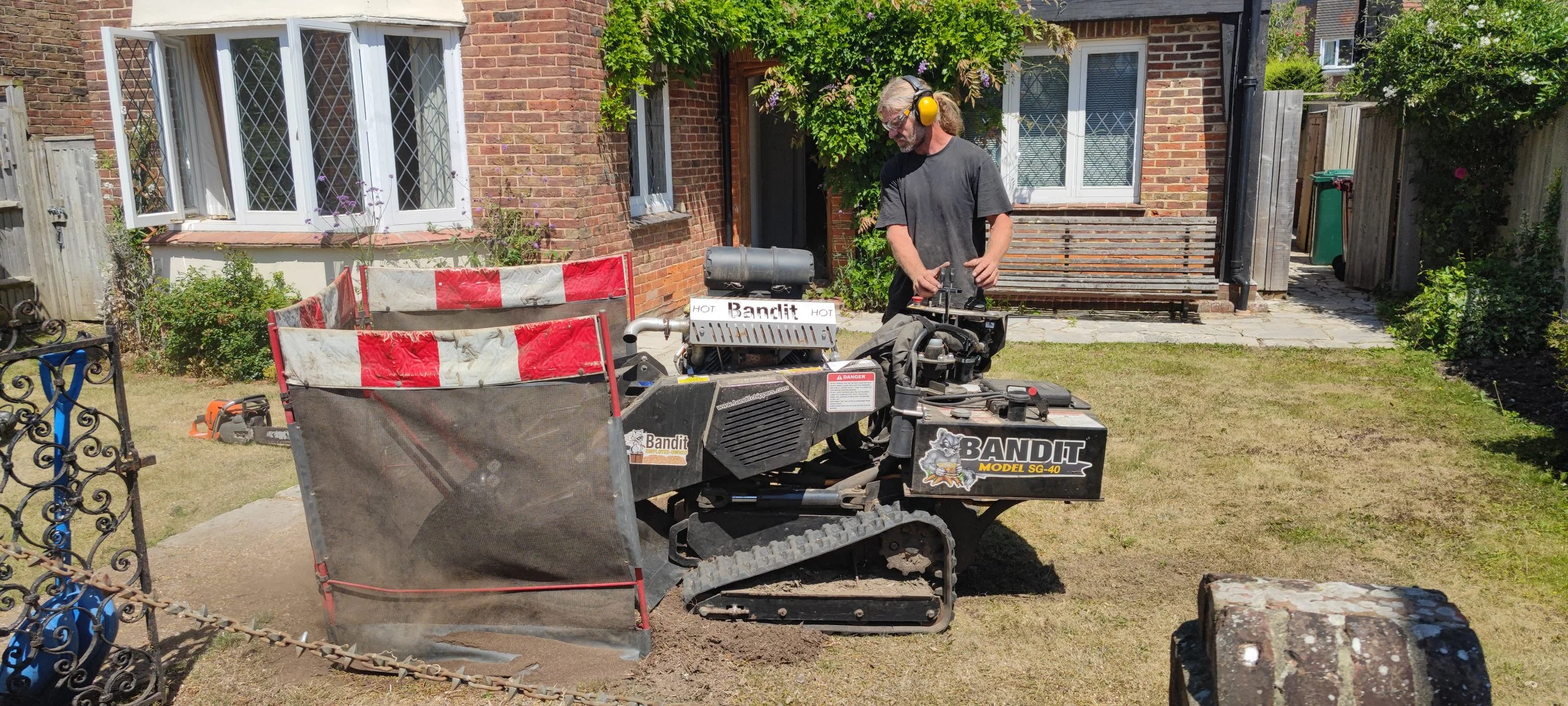 Chichester Tree Solutions - Yew Tree removal and stump grinding in Chichester West Sussex (80).jpg
