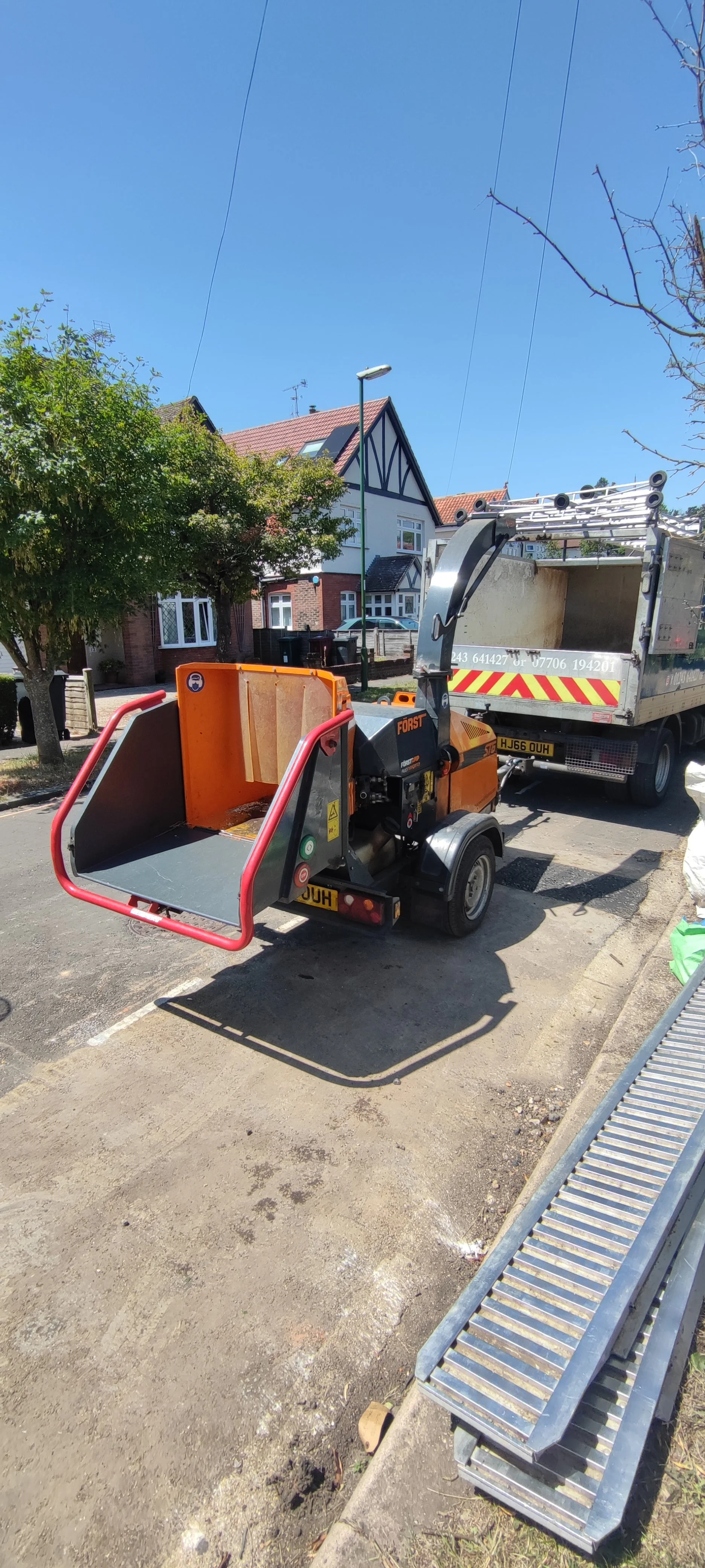 Chichester Tree Solutions - Yew Tree removal and stump grinding in Chichester West Sussex (43).jpg