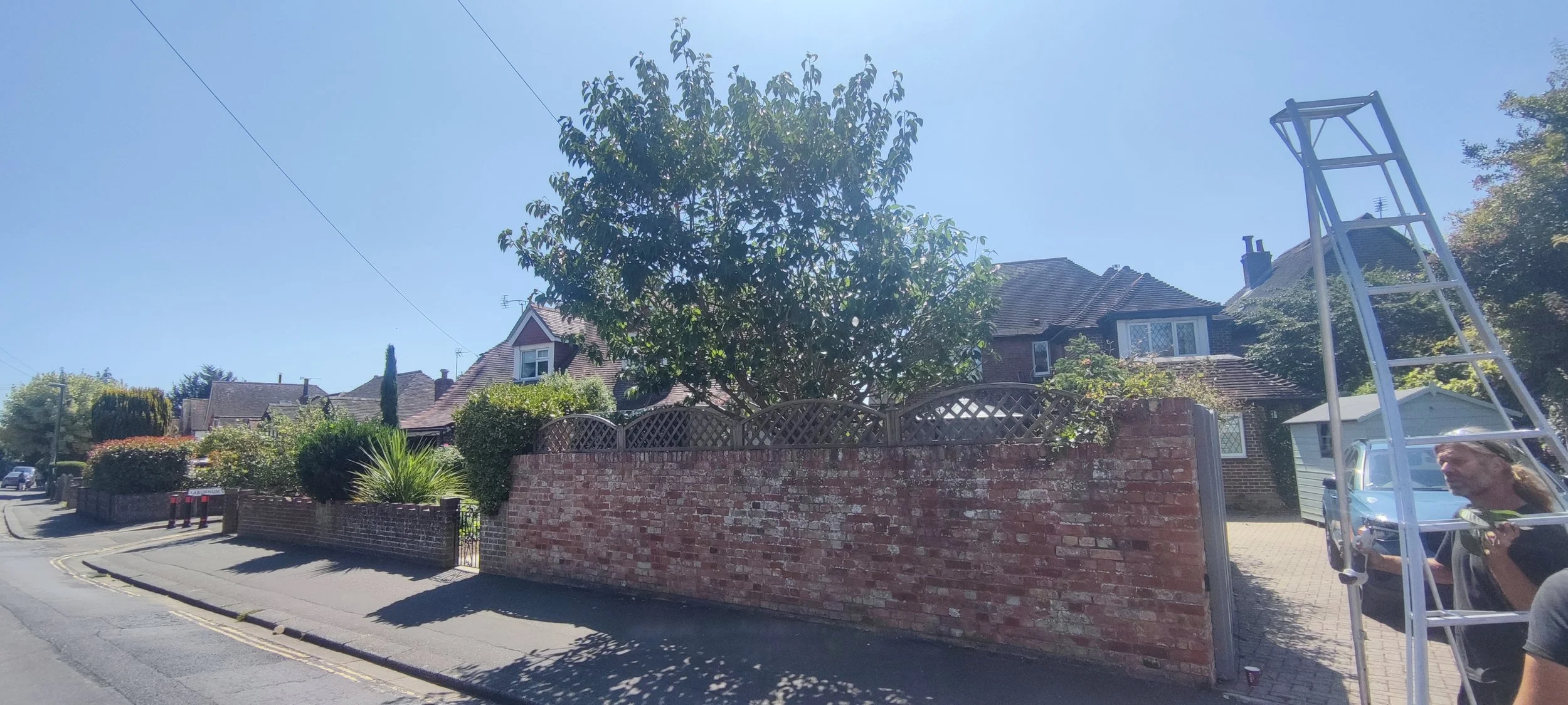 Chichester Tree Solutions - Yew Tree removal and stump grinding in Chichester West Sussex (103).jpg