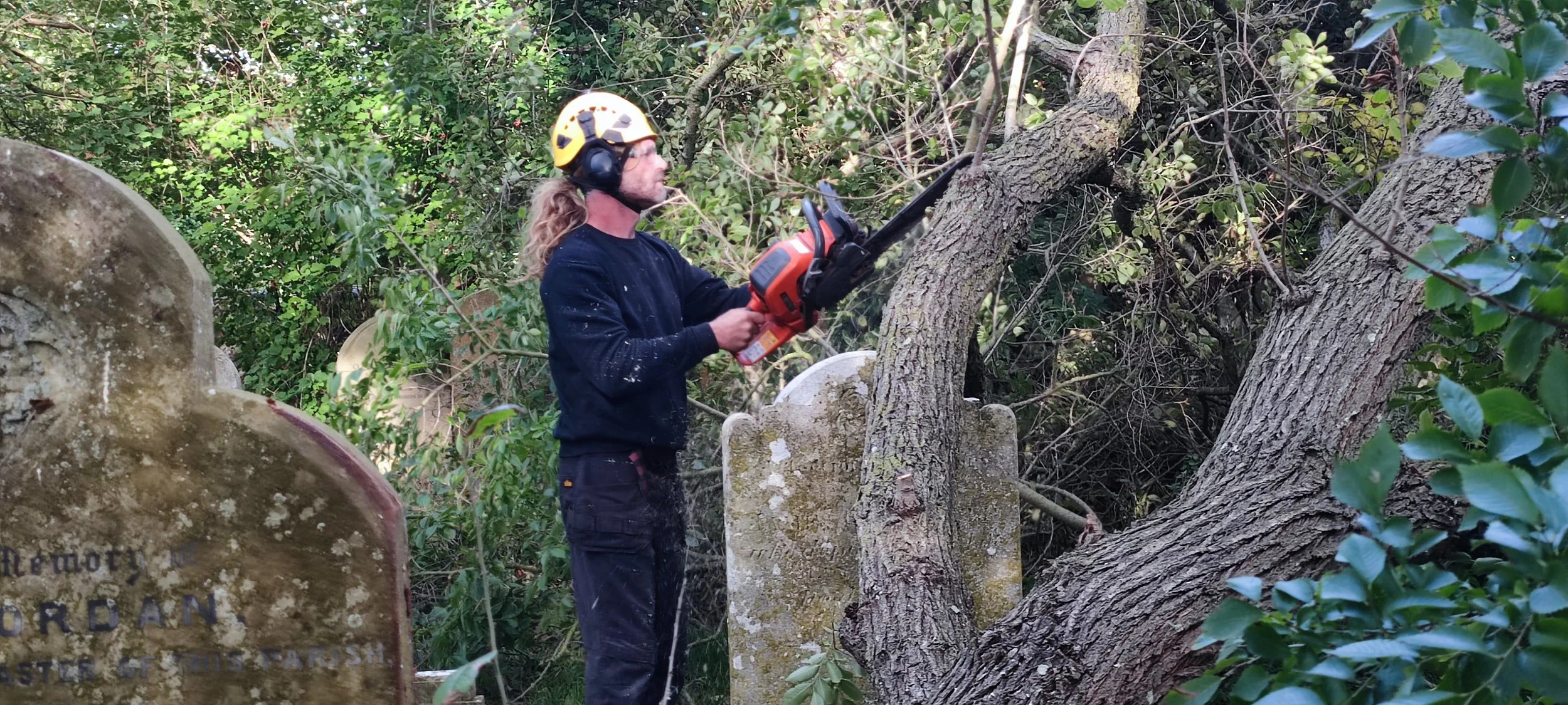Chichester Tree Solutions - Tree surgery in a local churchyard (45).jpg