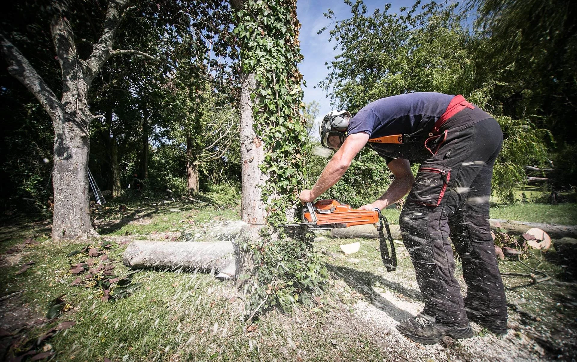 A person wearing a helmet and work clothes uses an orange chainsaw to cut a tree trunk outdoors in a wooded area.