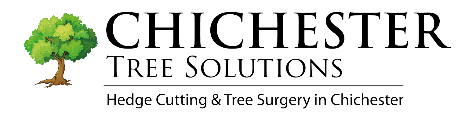 Chichester Tree Solutions