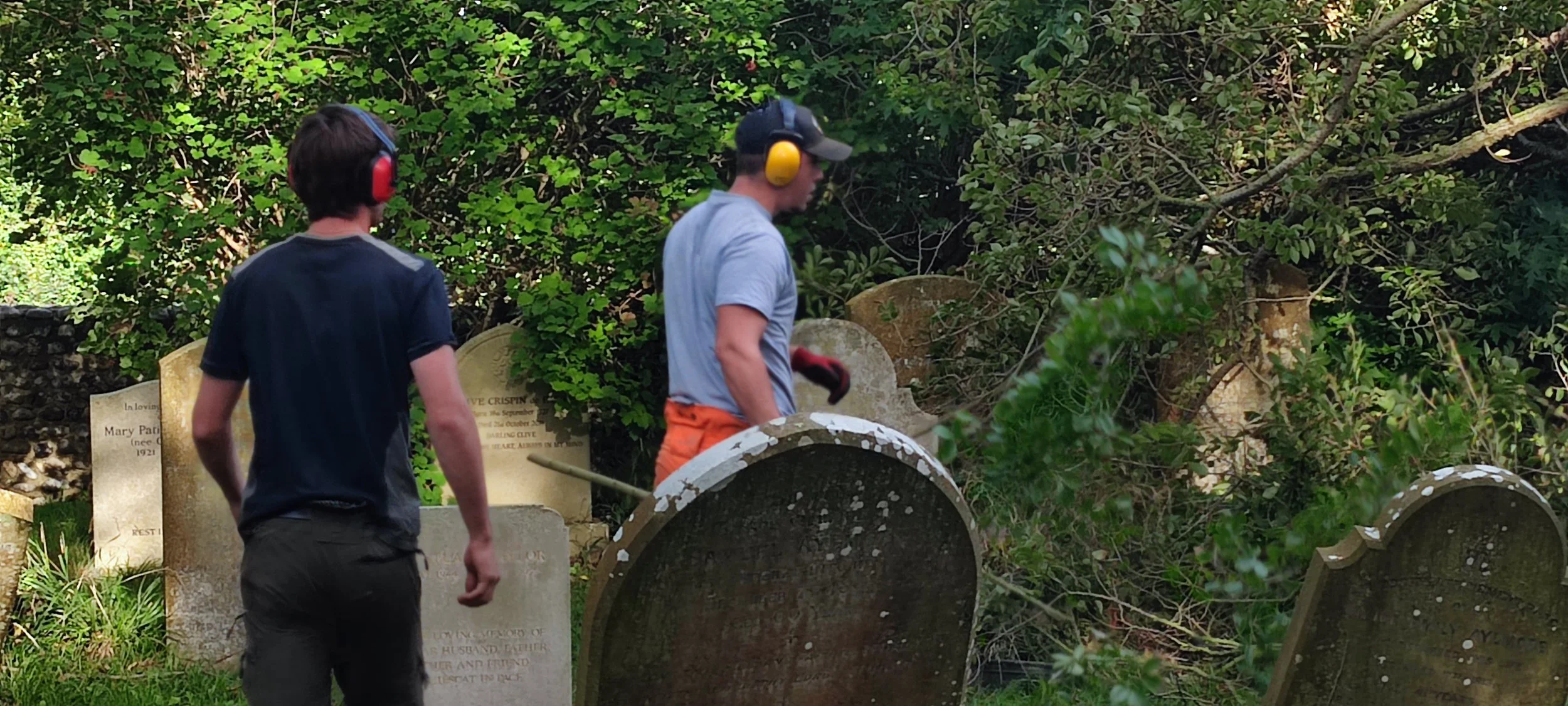 Chichester Tree Solutions - Tree surgery in a local churchyard (70).jpg