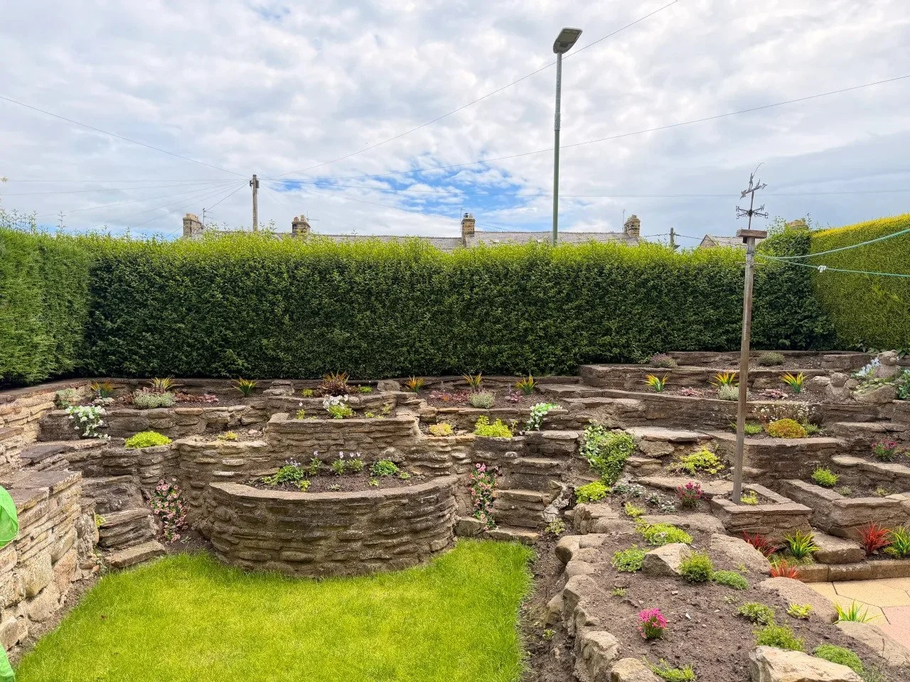 Hedge - Before