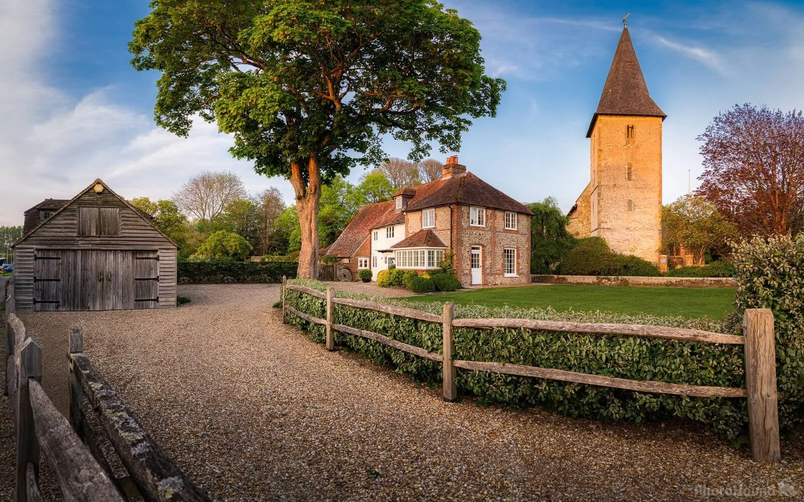 Tree Preservation Orders (TPOs) in Chichester: What You Need to Know Before Carrying Out Tree Work