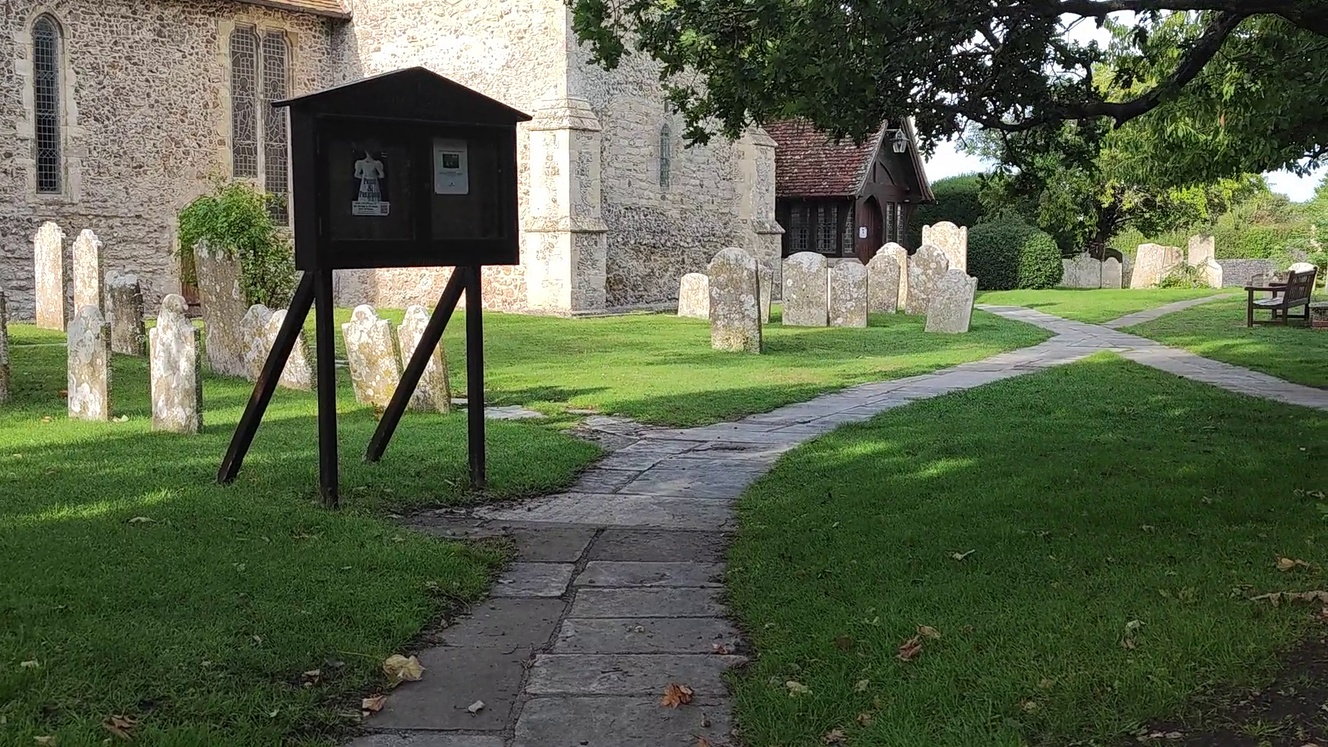 Chichester Tree Solutions - Commercial Tree surgery at St Peter & St Paul Church, Pound Road, West Wittering Church PO20 8AJ