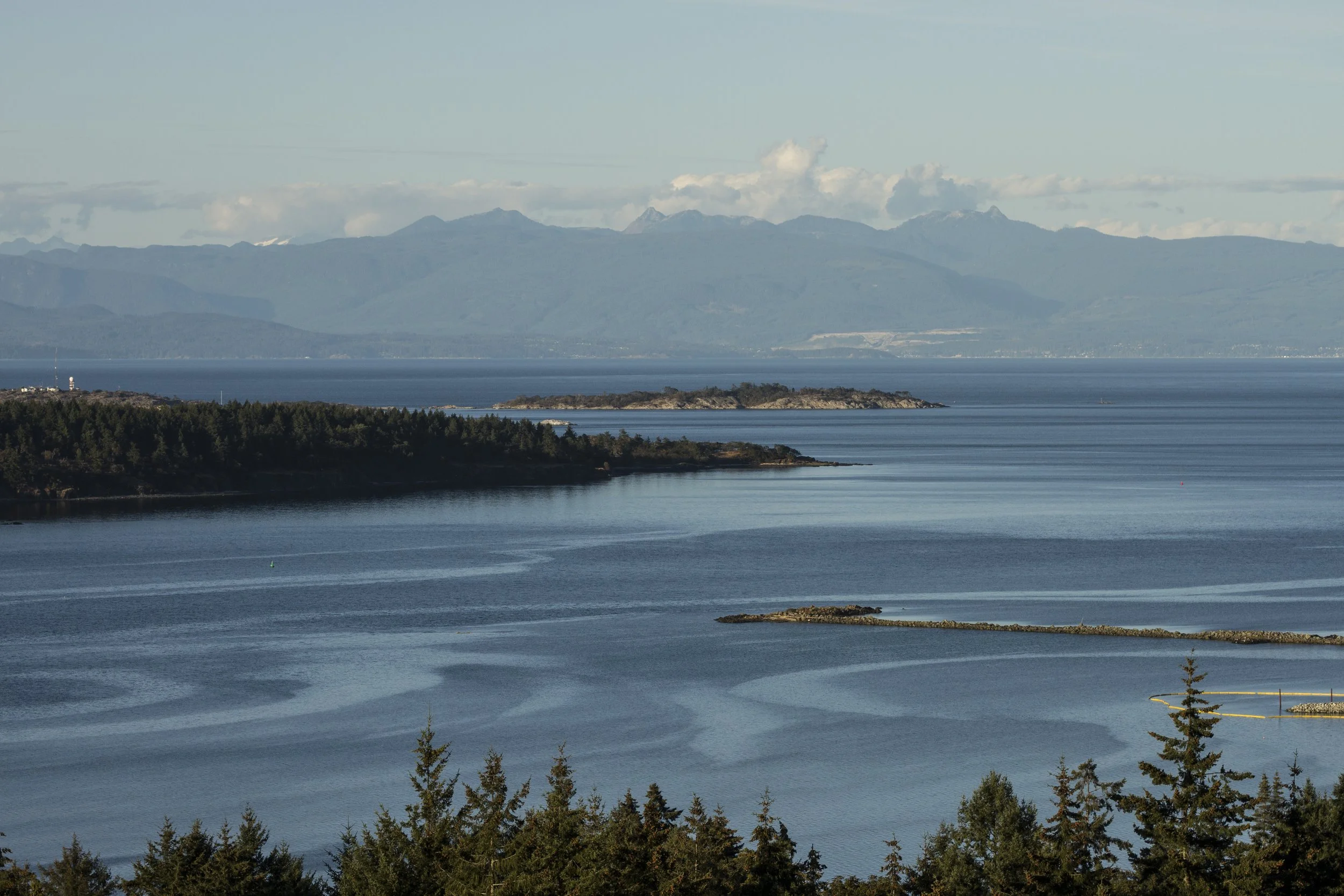 Married! September 5th, 2022 (5) (1).jpg