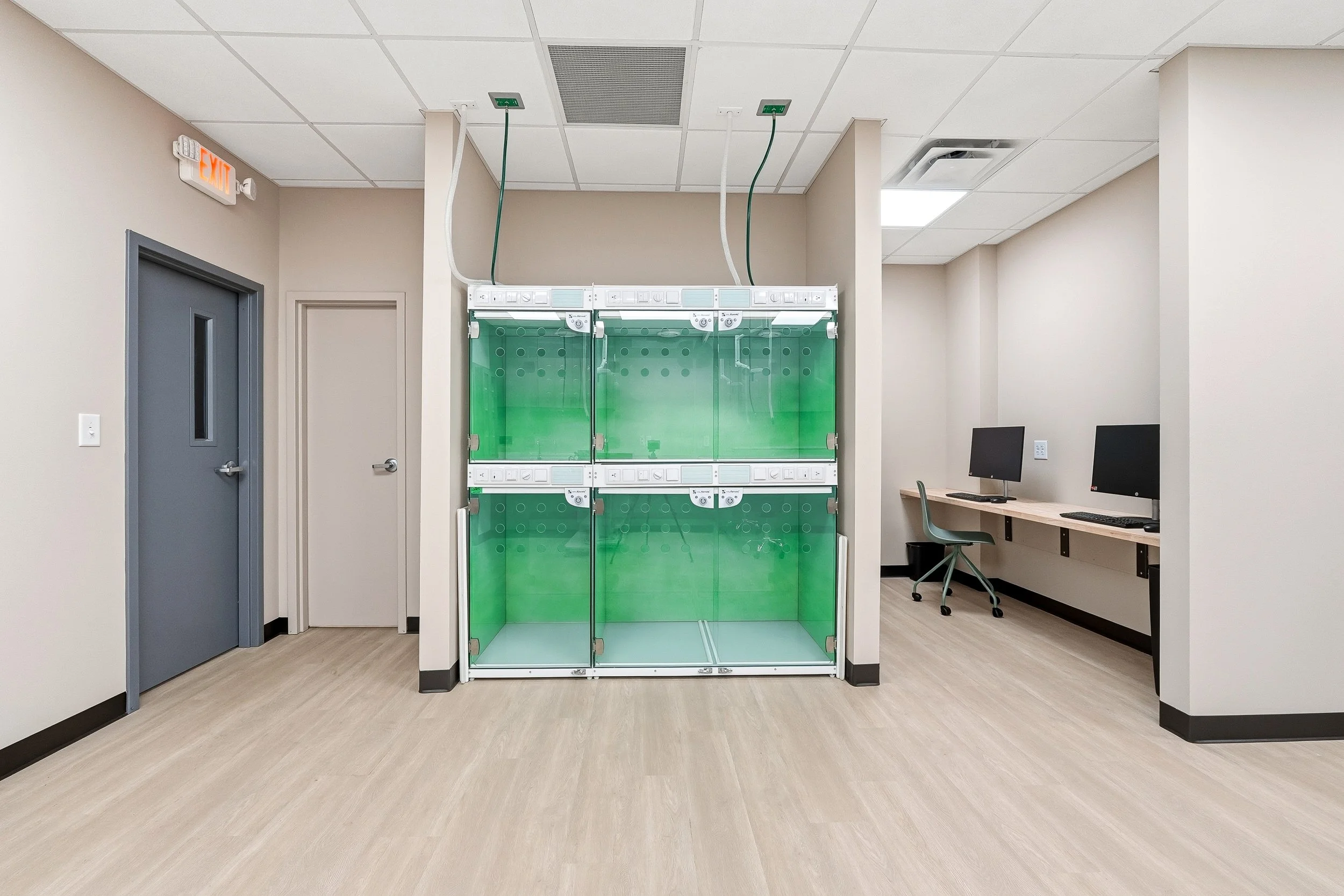 From the treatment room facing Casco "Well Kennels," super cozy kennels with special heating, lighting, and glass doors to reduce anxiety and provide an extra comfortable space for animals during recovery. 