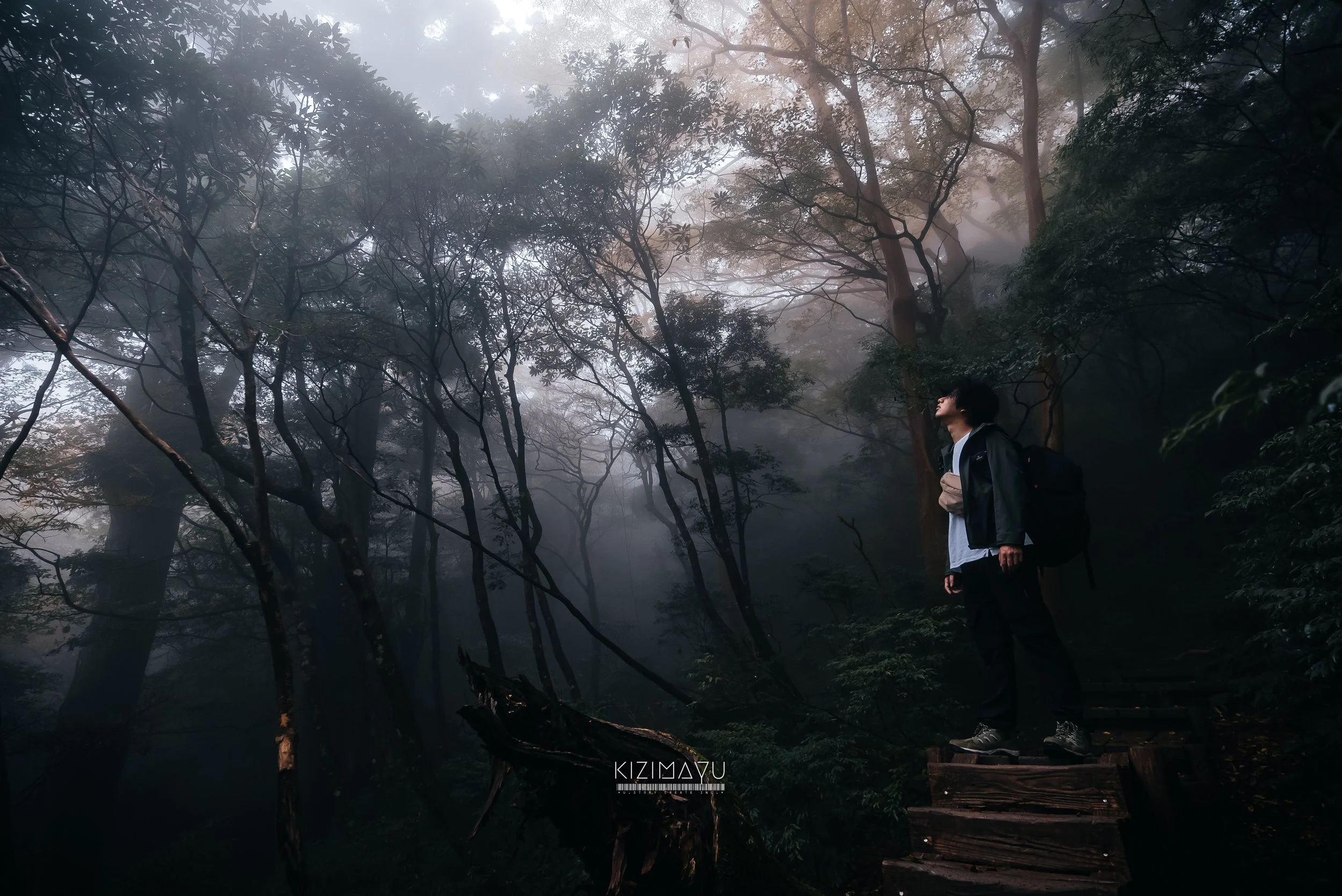 霧の森で立っている男性の横顔。背中にリュックサックを背負い、緑豊かな木々の間を歩いている。