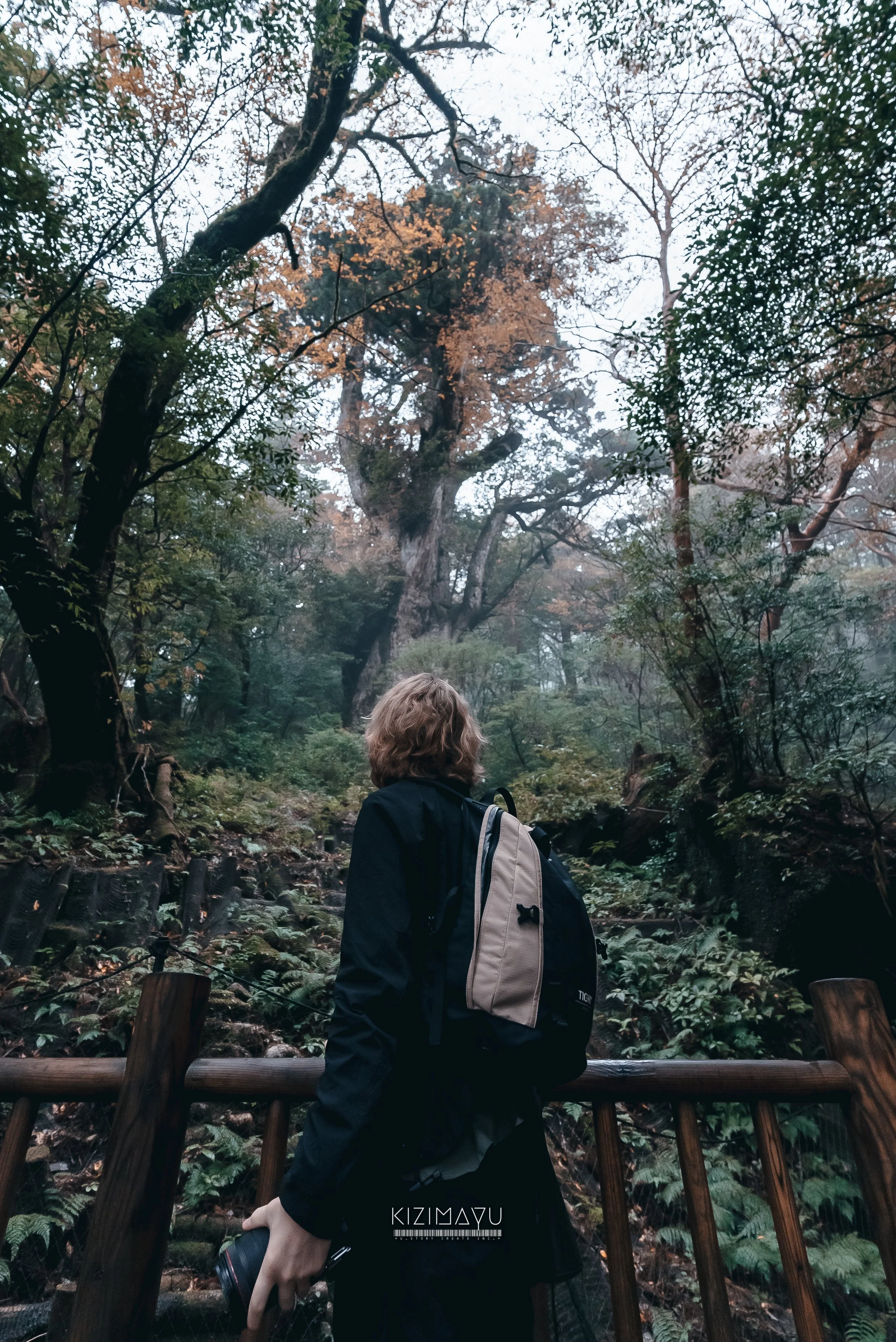 木々に囲まれた自然の中を歩く女性。彼女はバックパックを背負い、右手にカメラを持っている。