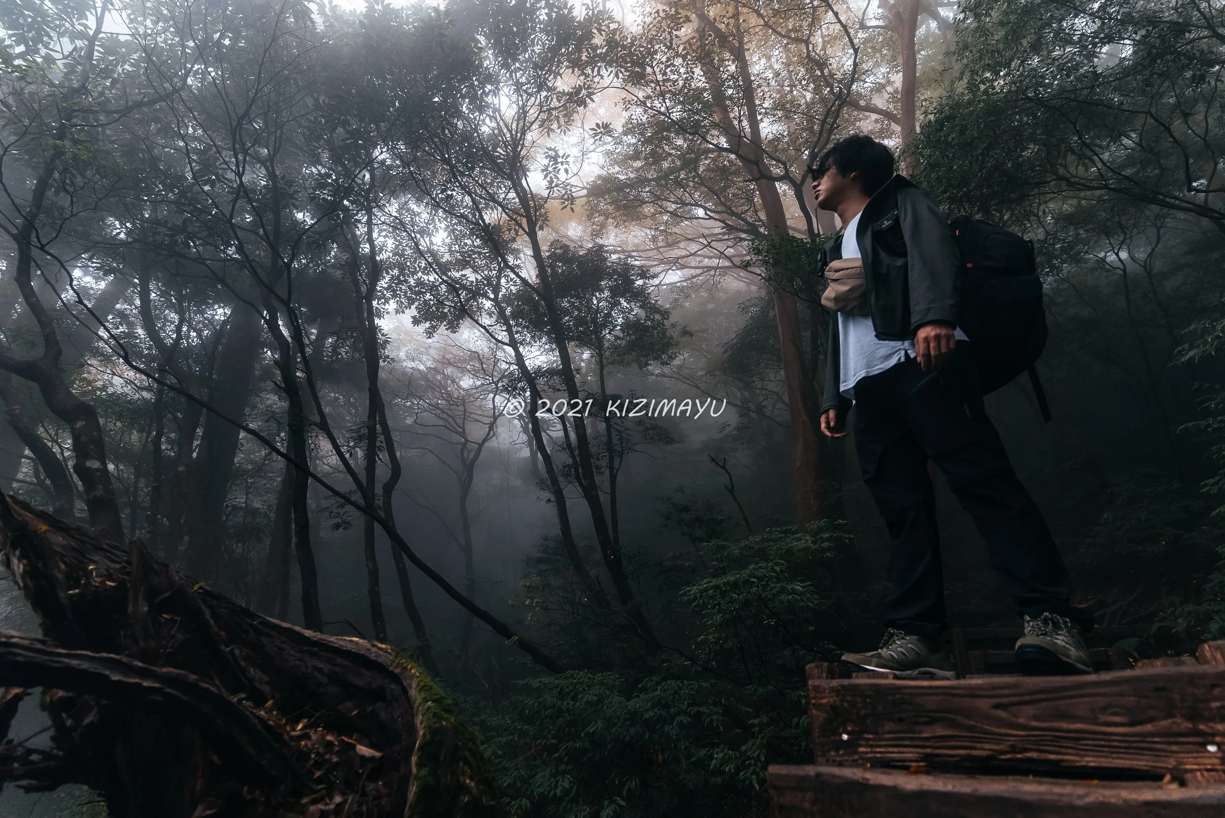 霧に包まれた森林の中で、背中にリュックサックを背負い、アウトドア装備を身に着けた男性が木製の階段を歩いている。