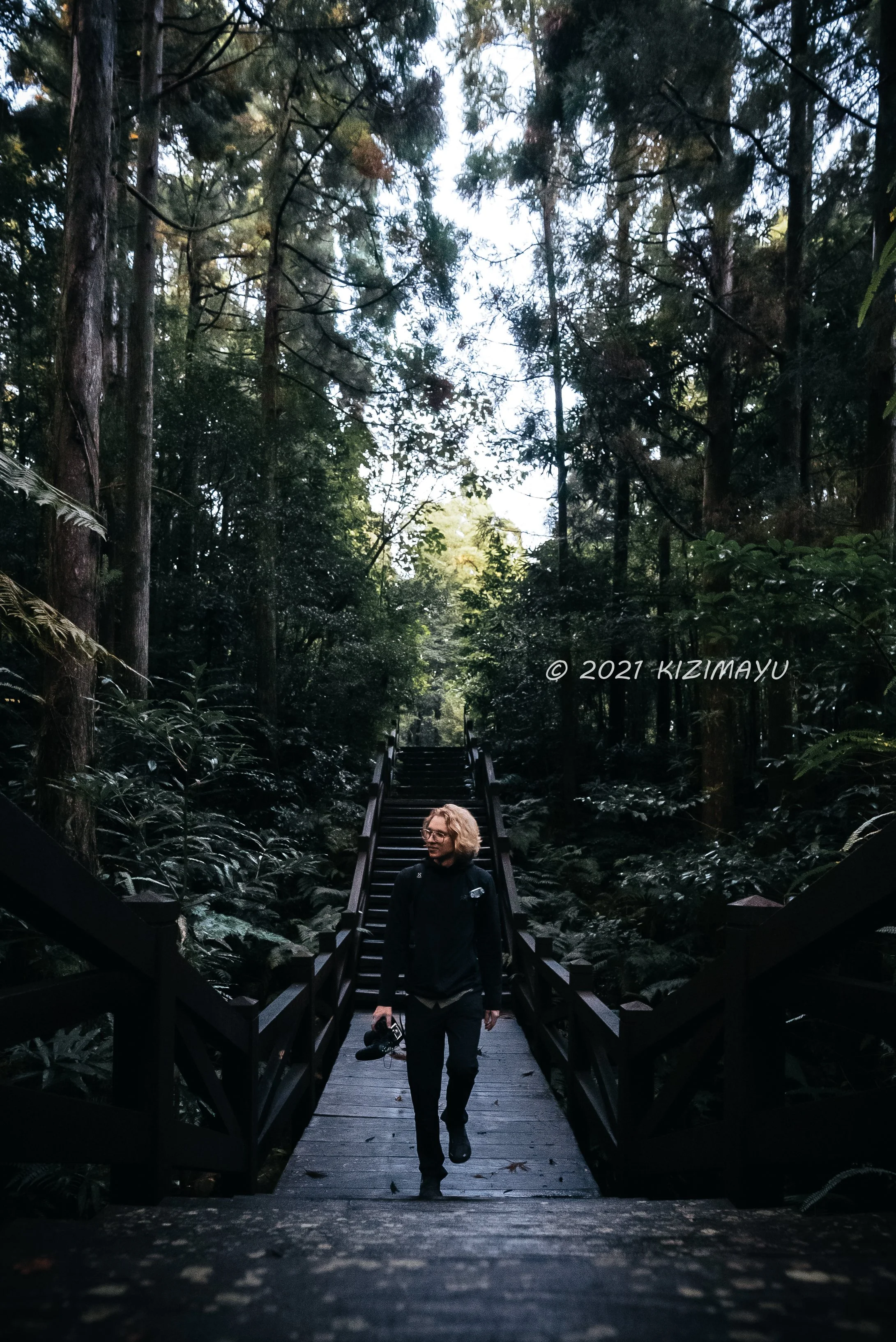 森林の中の木製の橋を歩く男性。背景に高い木々と空が見える。
