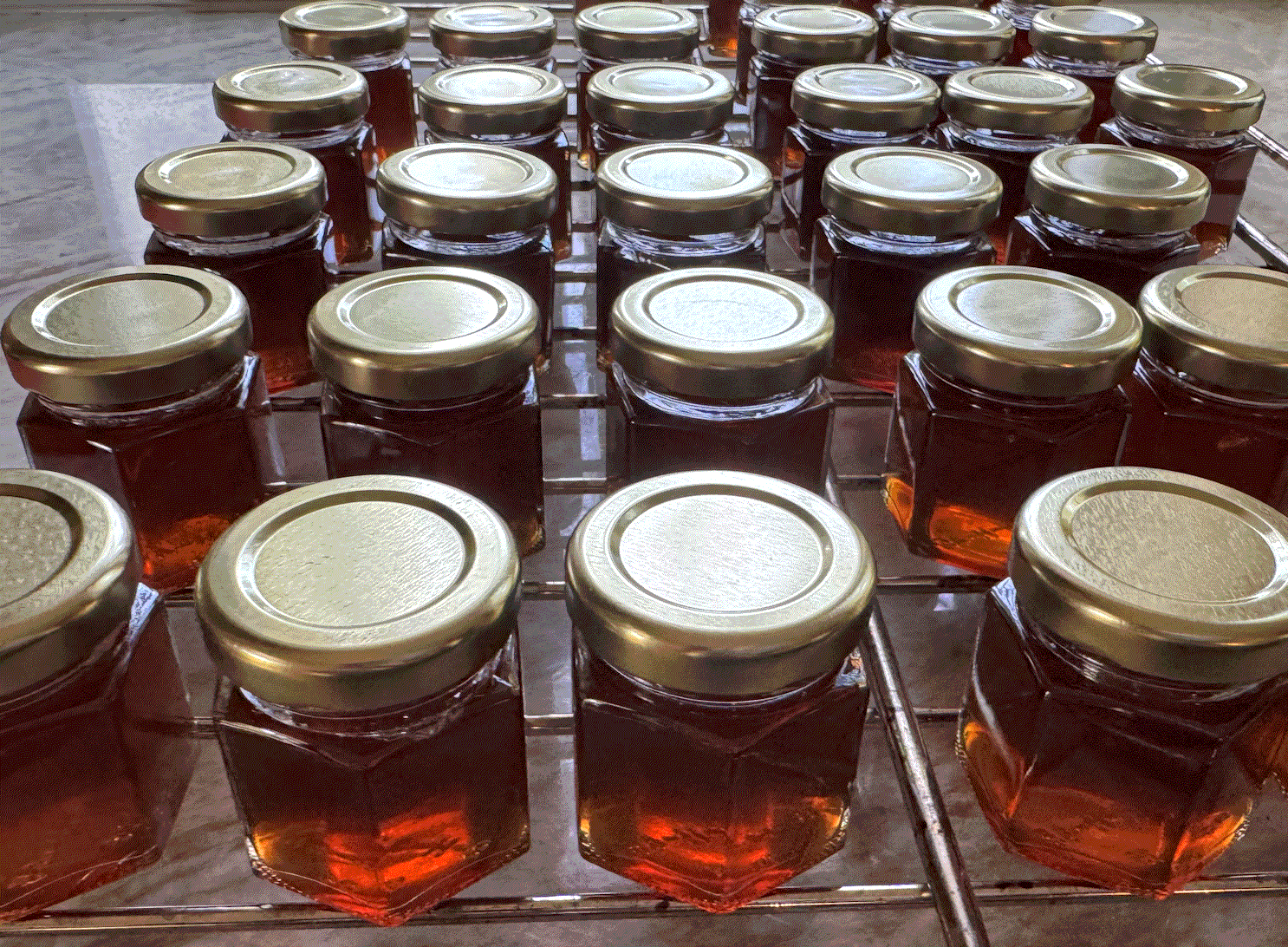 Image of several unlabeled jars of our new Oloroso Sherry & Vermut jelly showing the clear golden color of the jelly