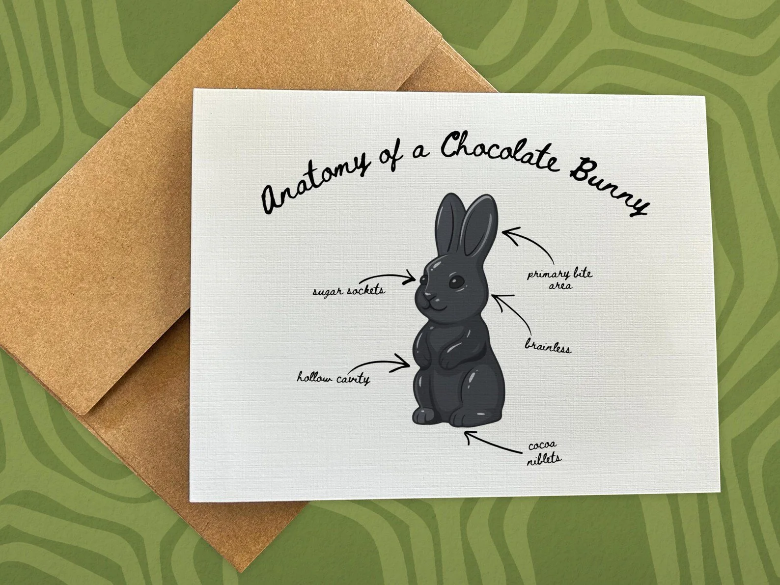 Anatomy of a Chocolate Bunny