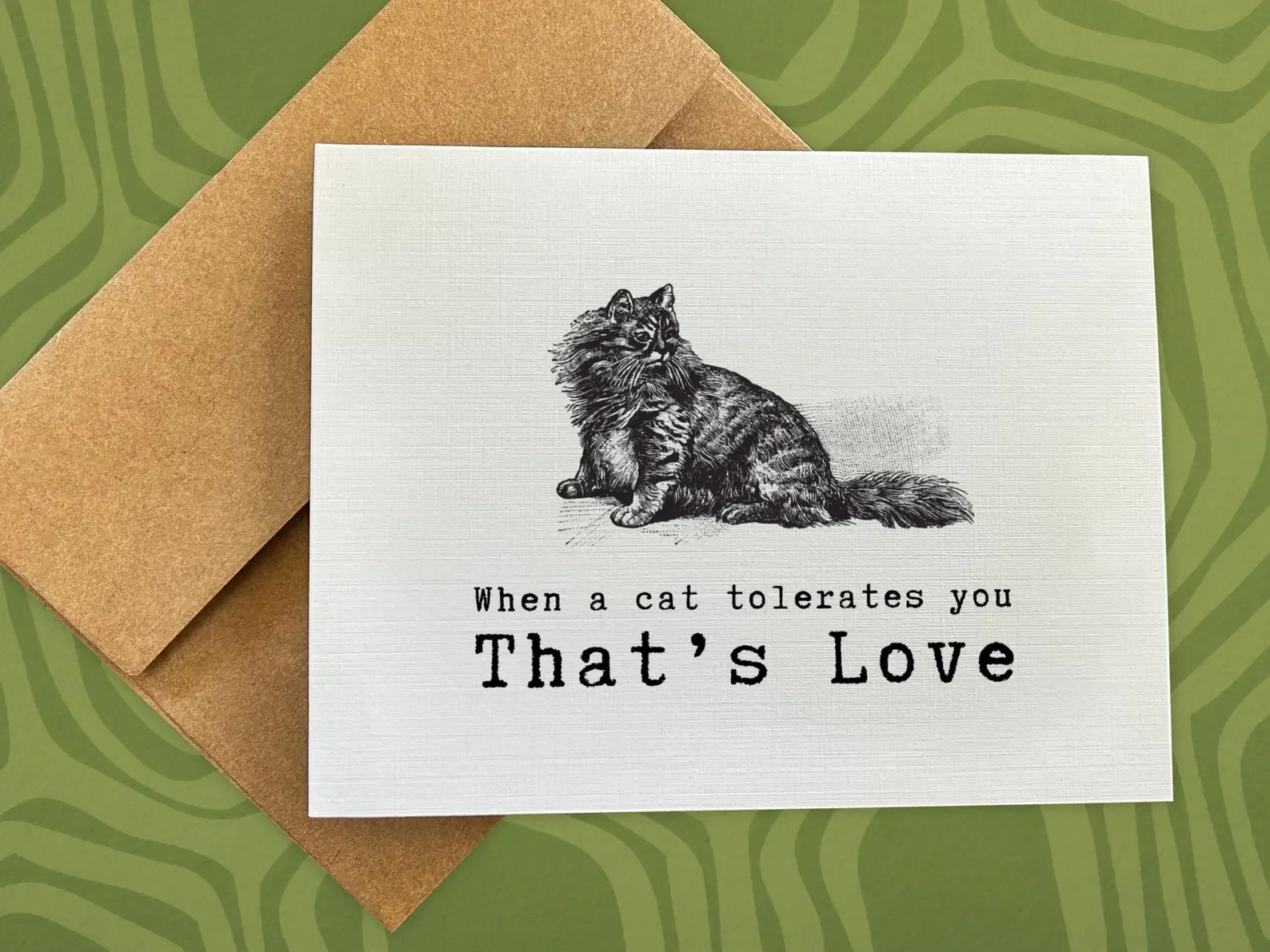 When a Cat Tolerates You