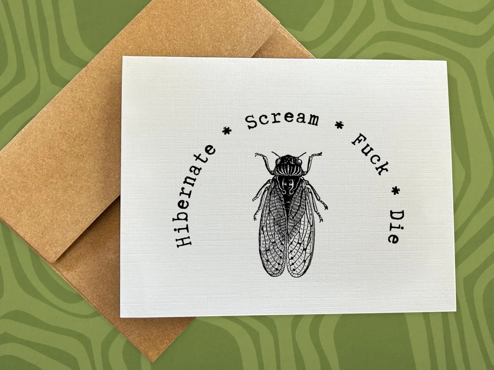 Life of a Cicada