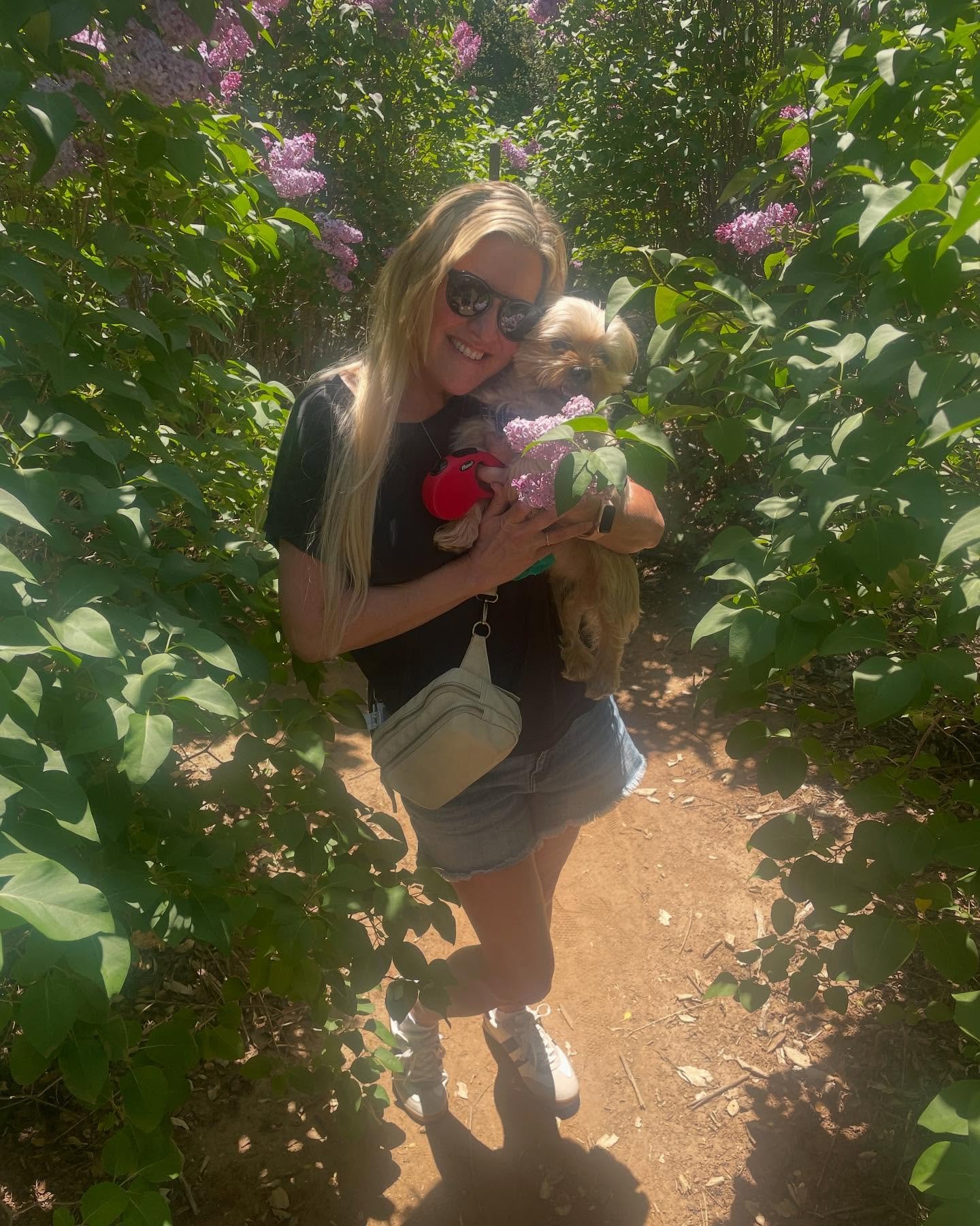 Yesterday&rsquo;s adventure&hellip;. Just a little walk through the lilac maze with Fergus. 🪻💜🪻

#lilacfestival #goodday #grateful #adventureiscalling